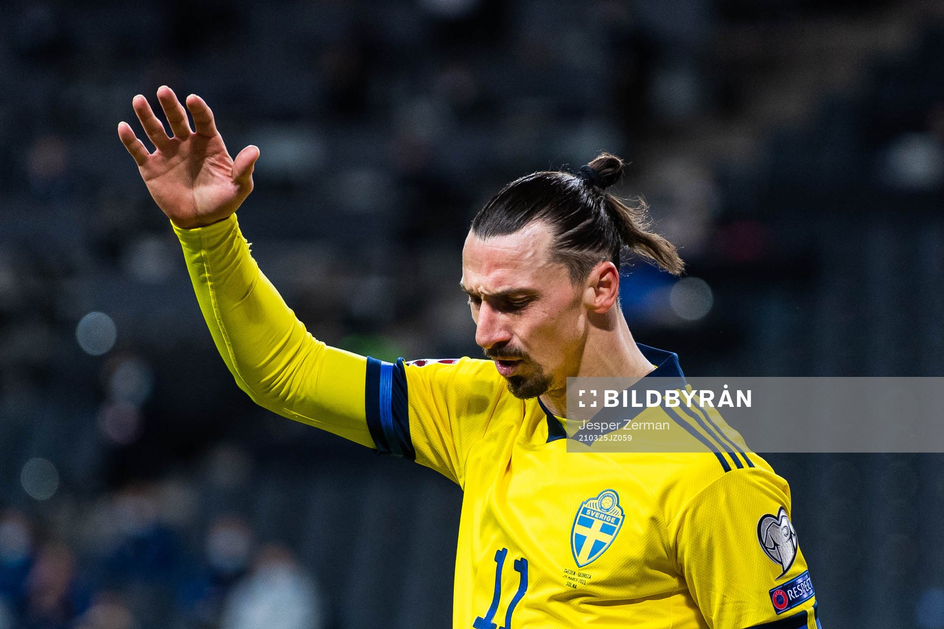 Zlatan Ibrahimovic of Sweden reacts