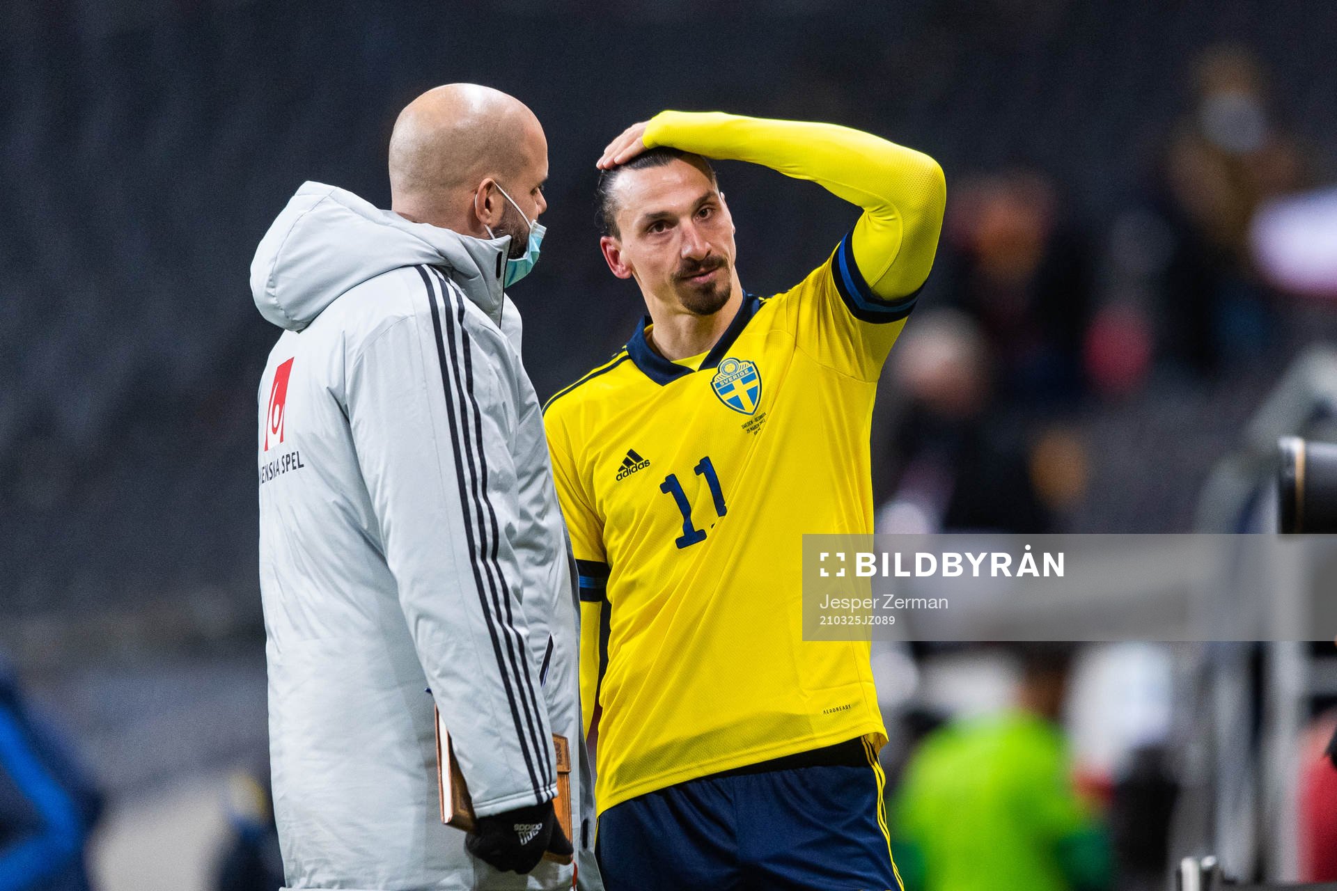Zlatan Ibrahimovic of Sweden