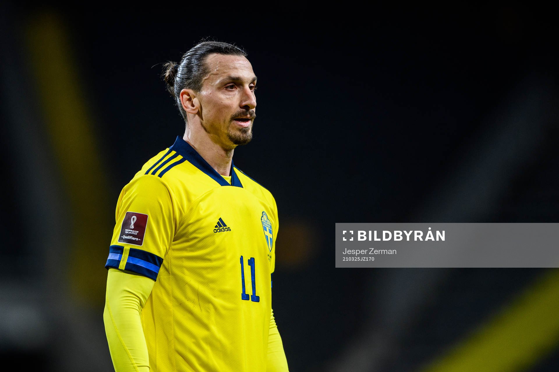 Zlatan Ibrahimovic of Sweden