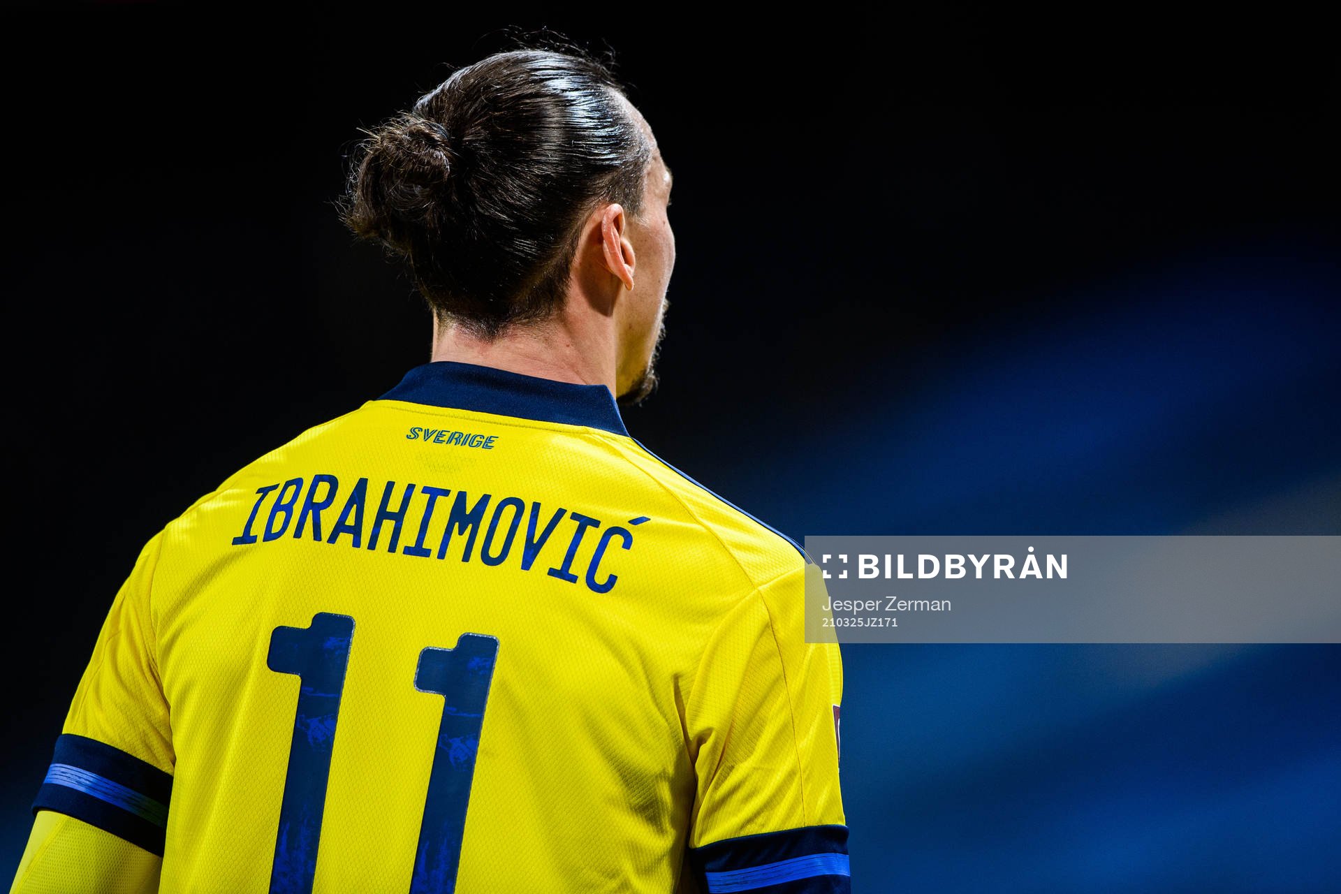 Zlatan Ibrahimovic of Sweden