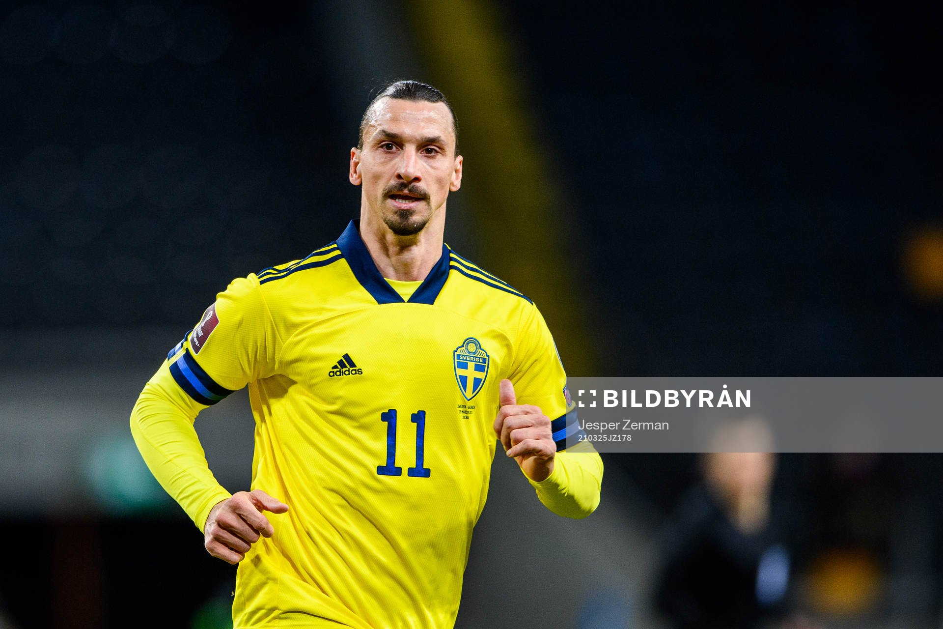 Zlatan Ibrahimovic of Sweden