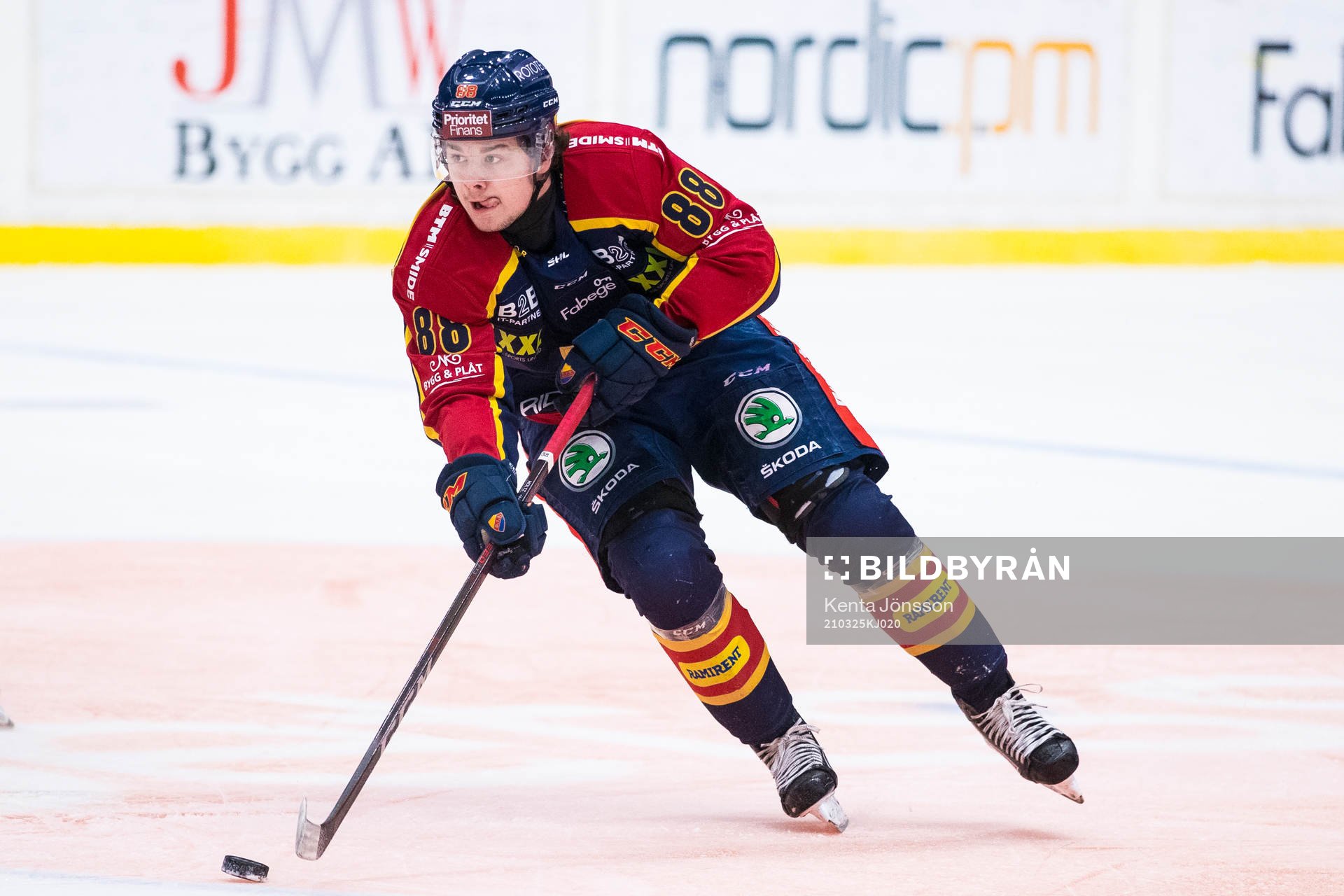 Djurgårdens Alexander Holtz