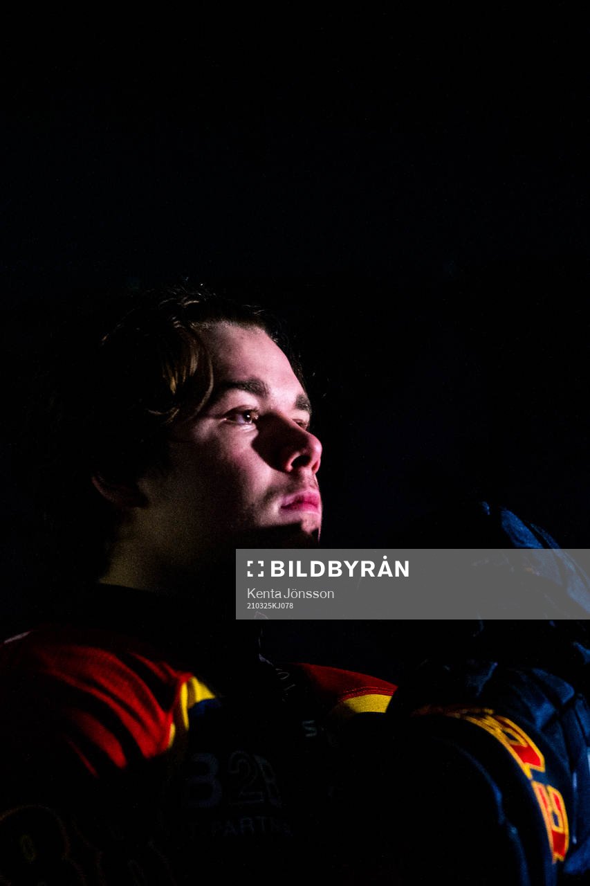 Djurgårdens Alexander Holtz