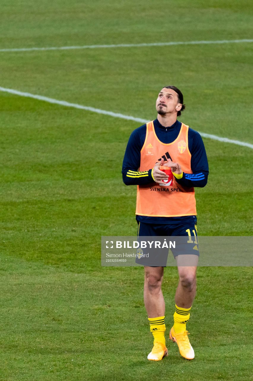 Zlatan Ibrahimovic of Sweden