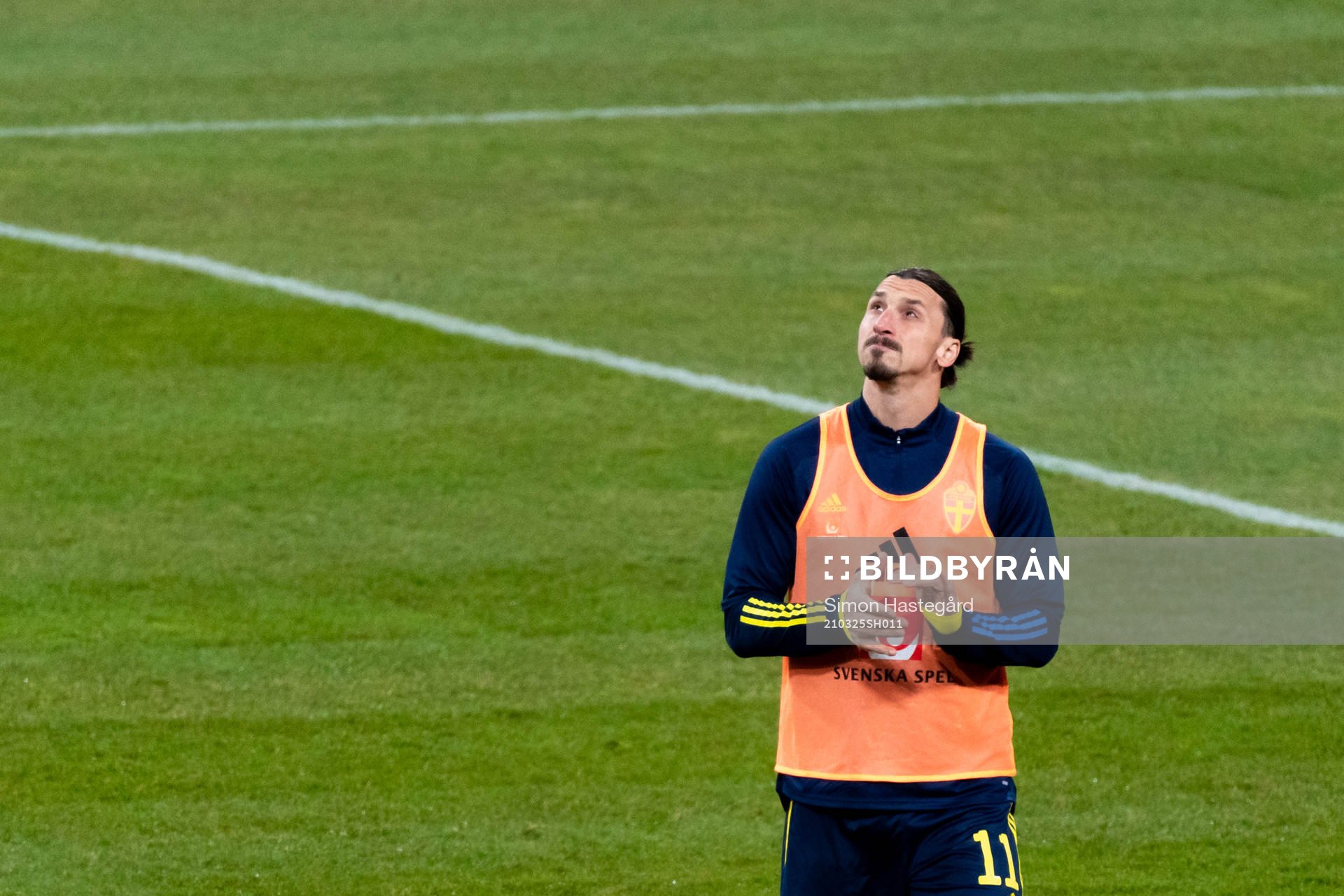 Zlatan Ibrahimovic of Sweden