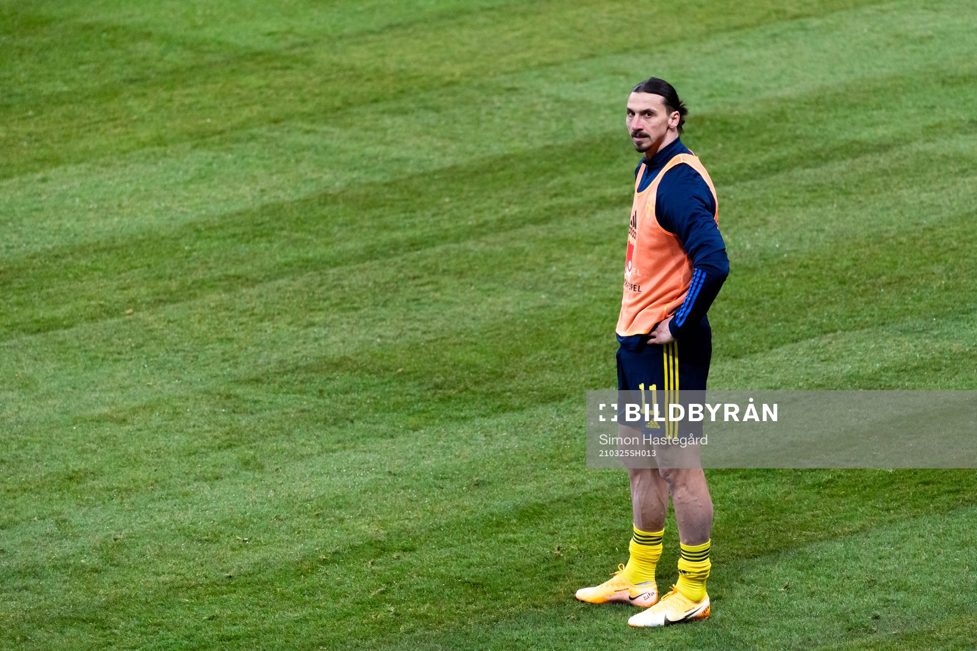 Zlatan Ibrahimovic of Sweden