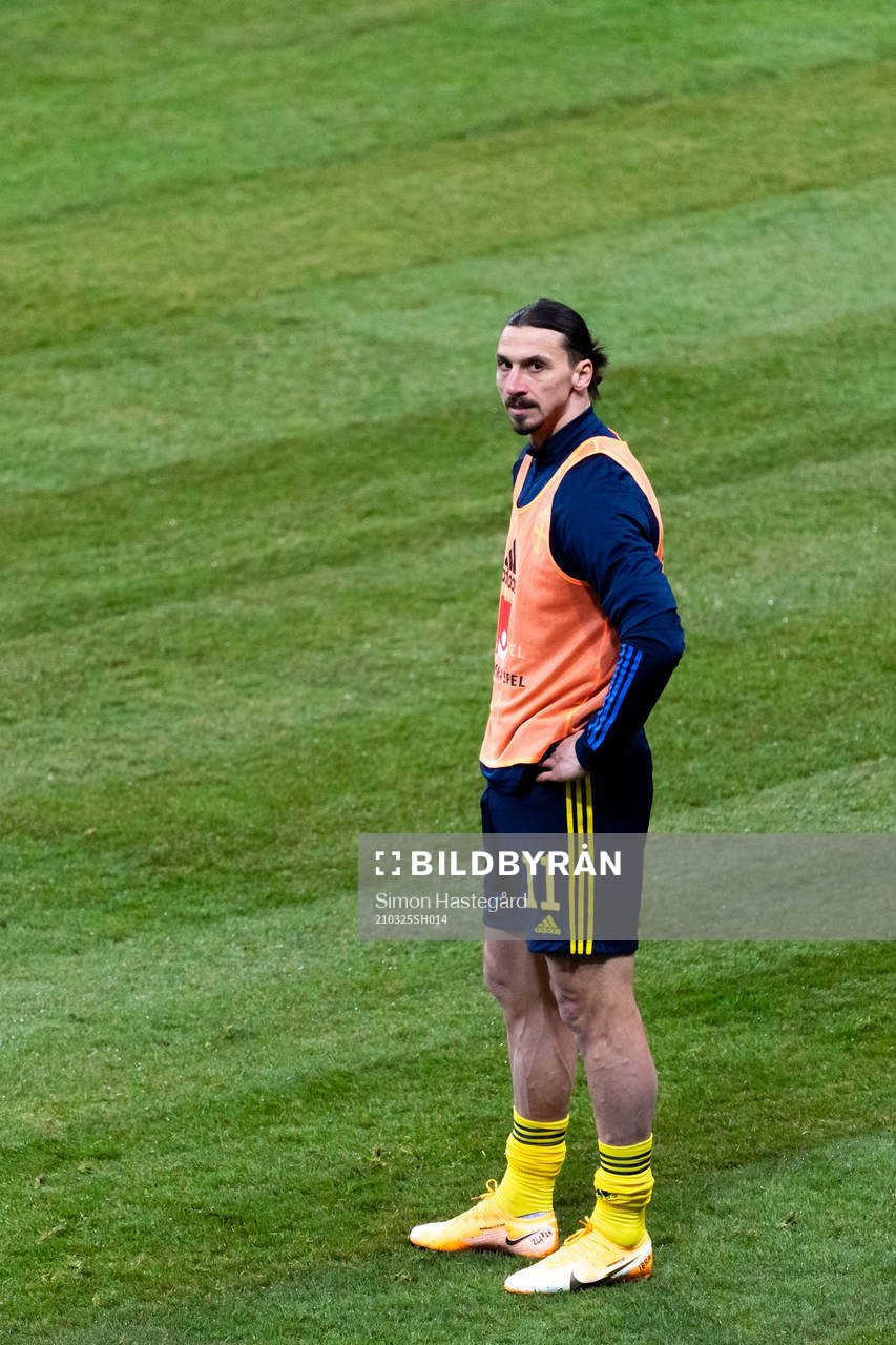 Zlatan Ibrahimovic of Sweden