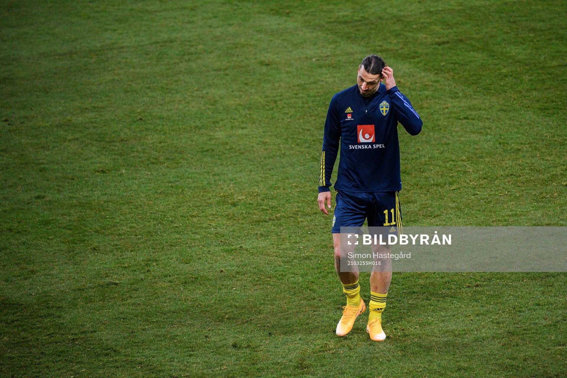Zlatan Ibrahimovic of Sweden