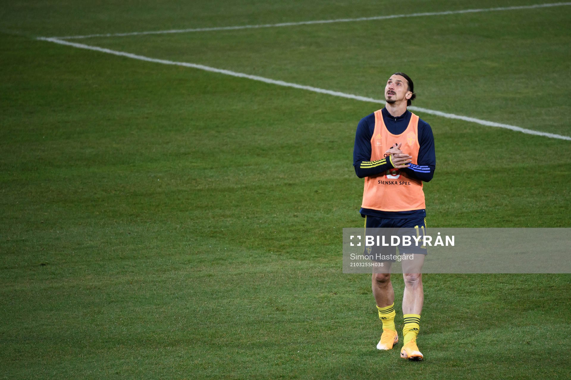 Zlatan Ibrahimovic of Sweden
