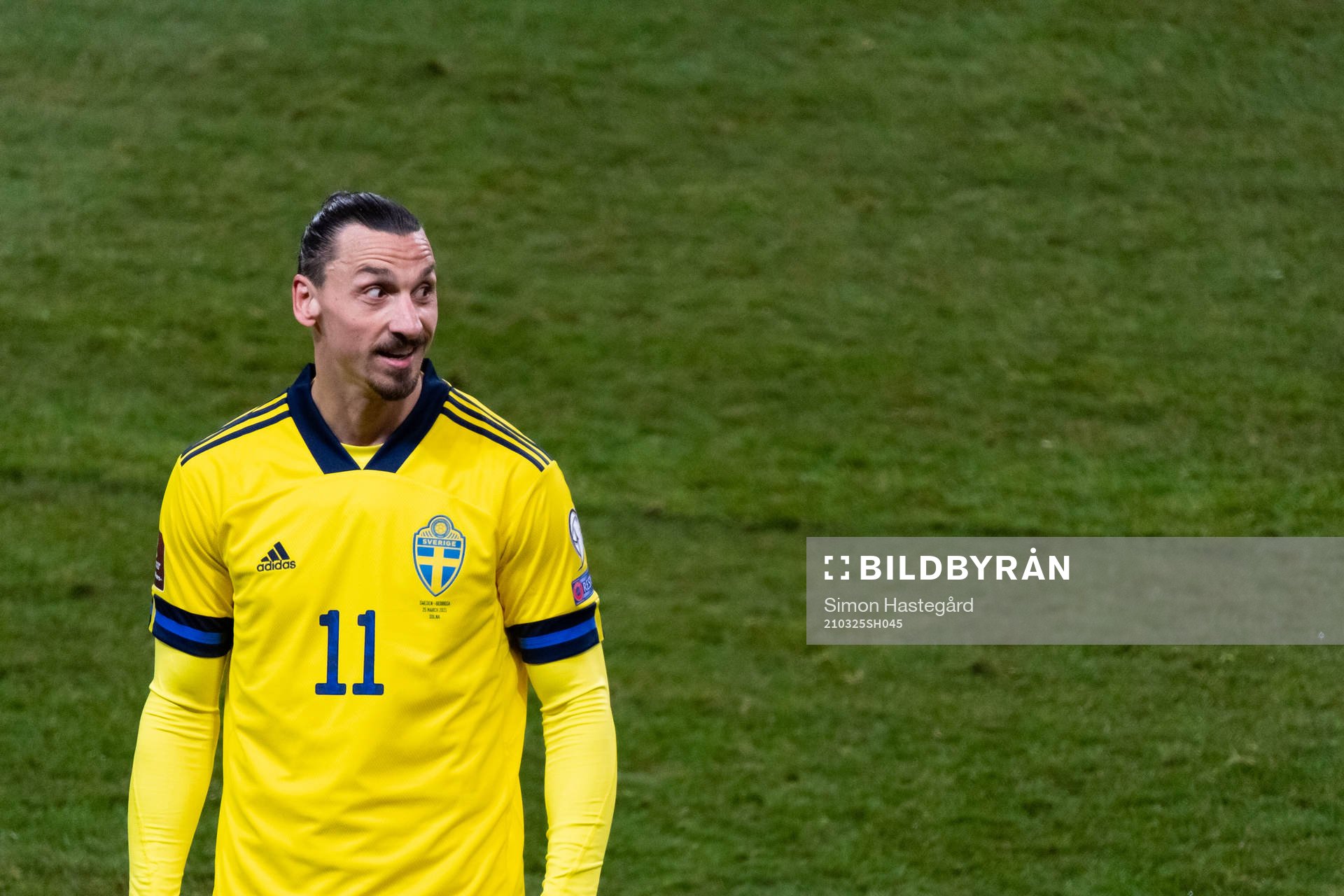 Zlatan Ibrahimovic of Sweden