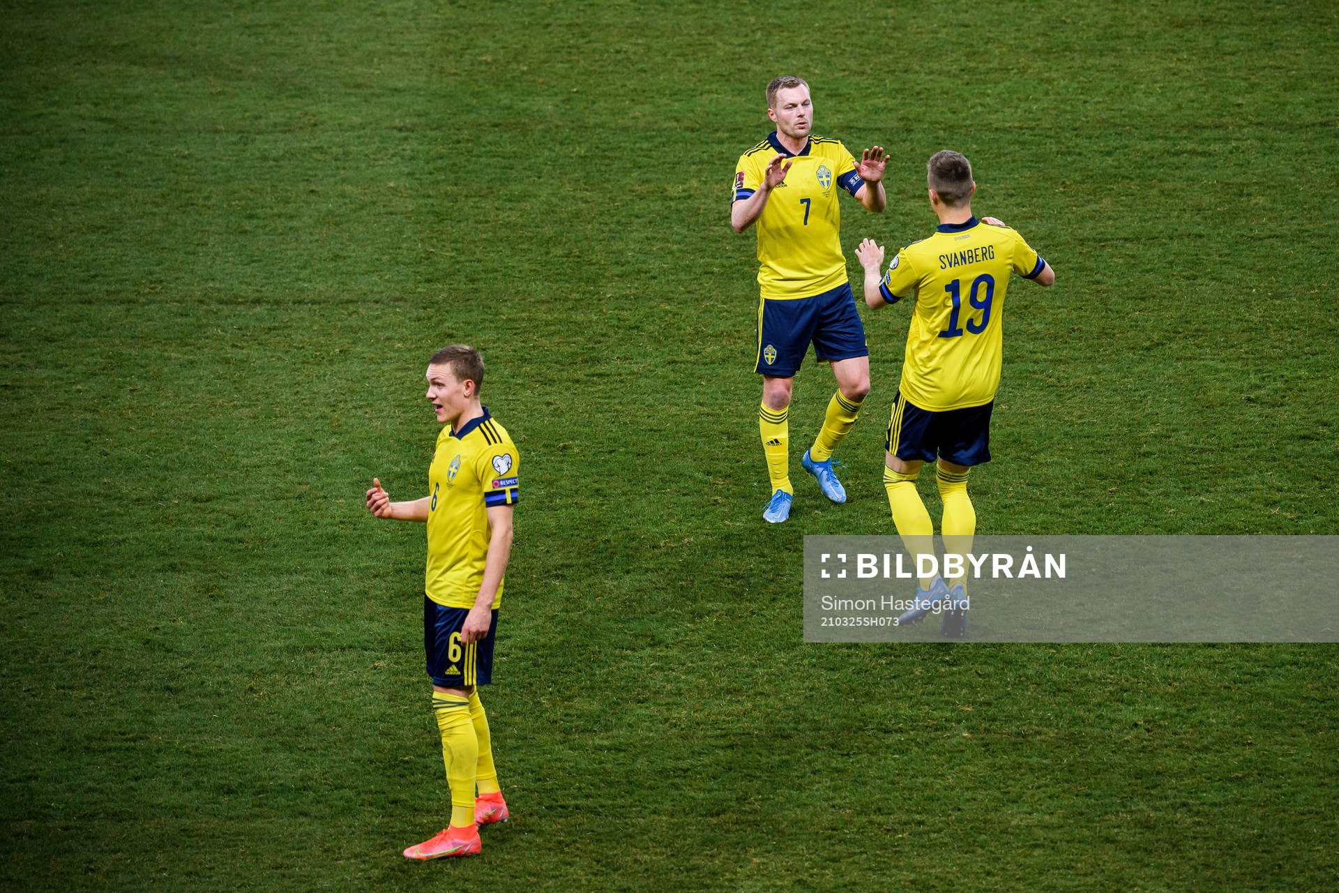Ludwig Augustinsson , Sebastian Larsson and Mattias