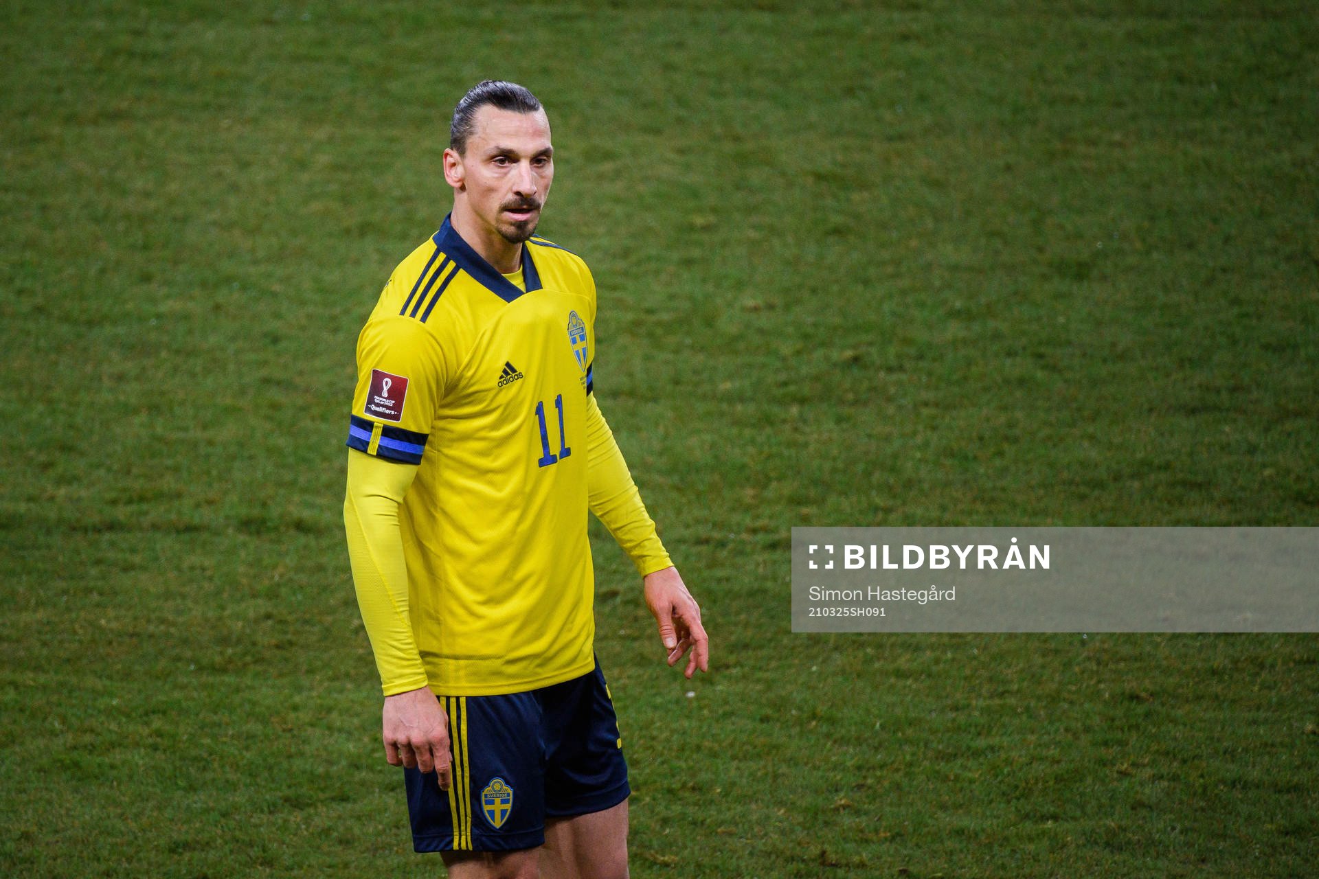 Zlatan Ibrahimovic of Sweden