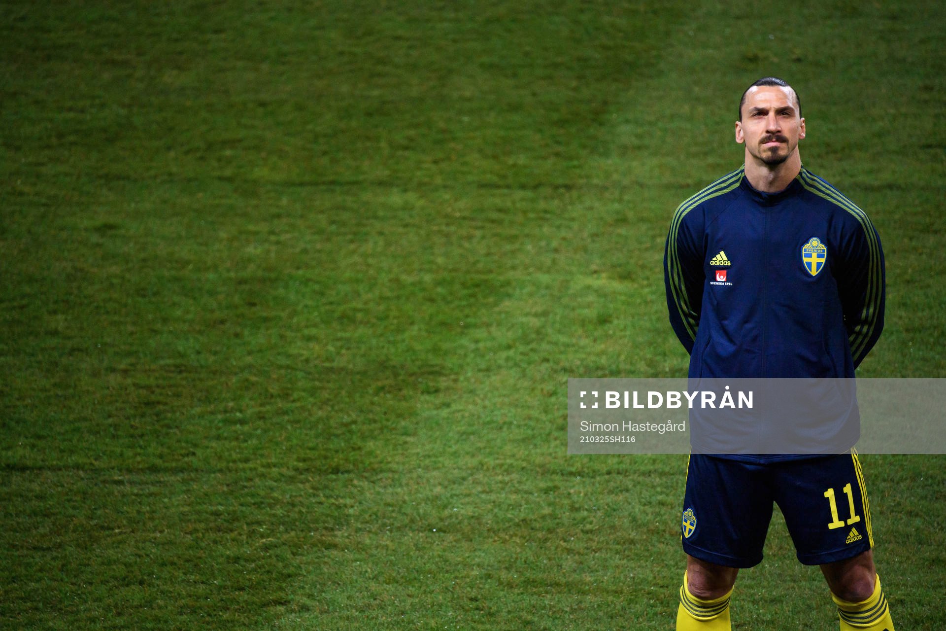 Zlatan Ibrahimovic of Sweden
