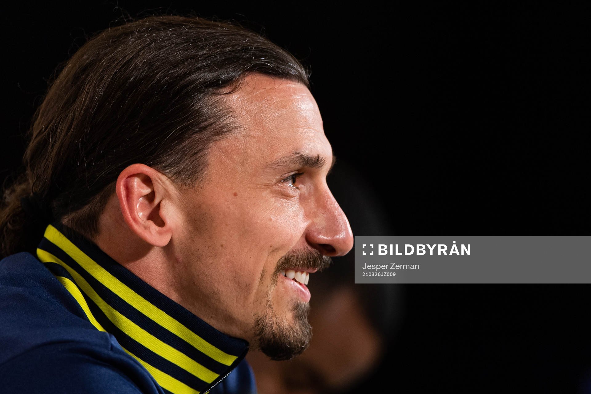 Zlatan Ibrahimovic of Sweden