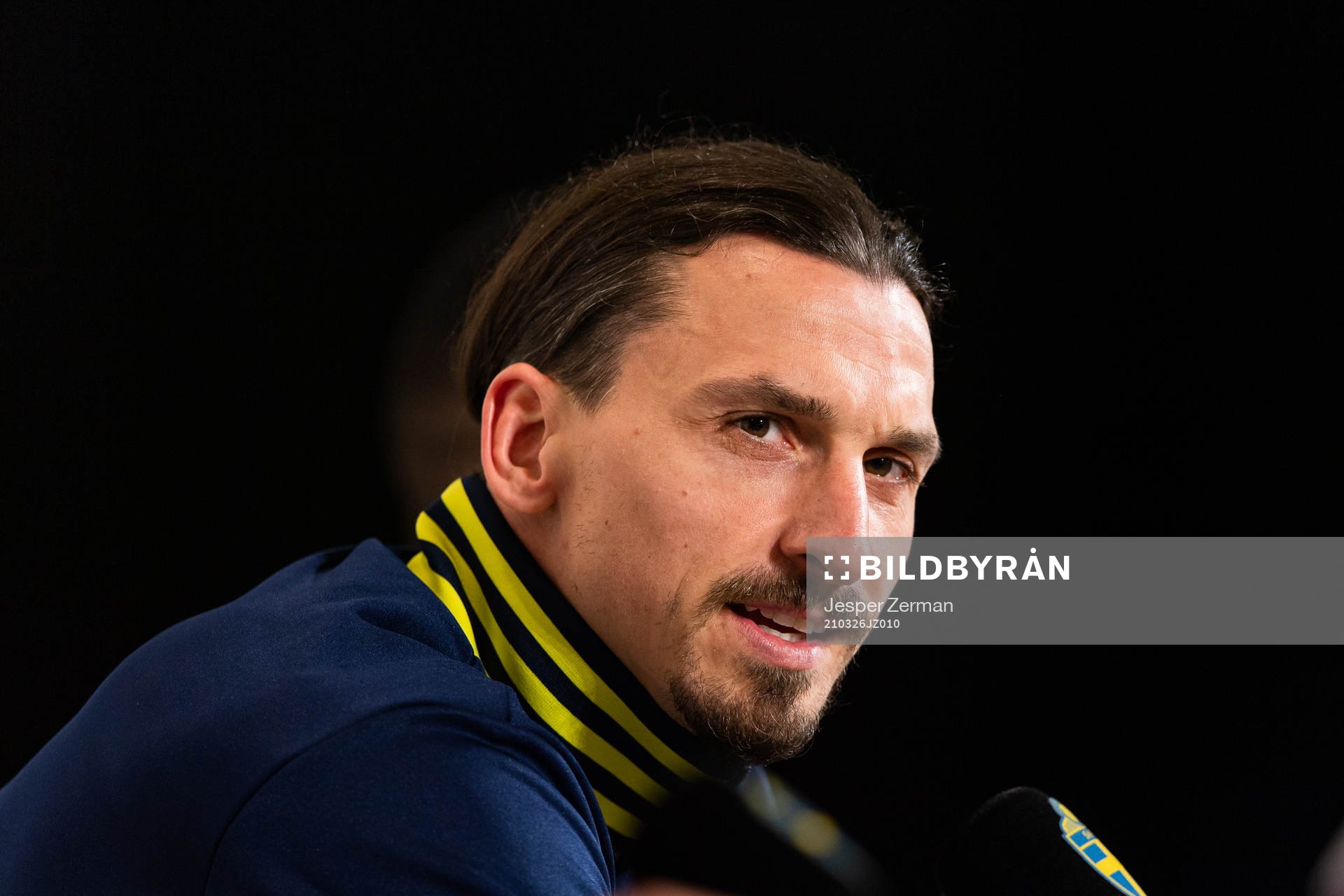 Zlatan Ibrahimovic of Sweden
