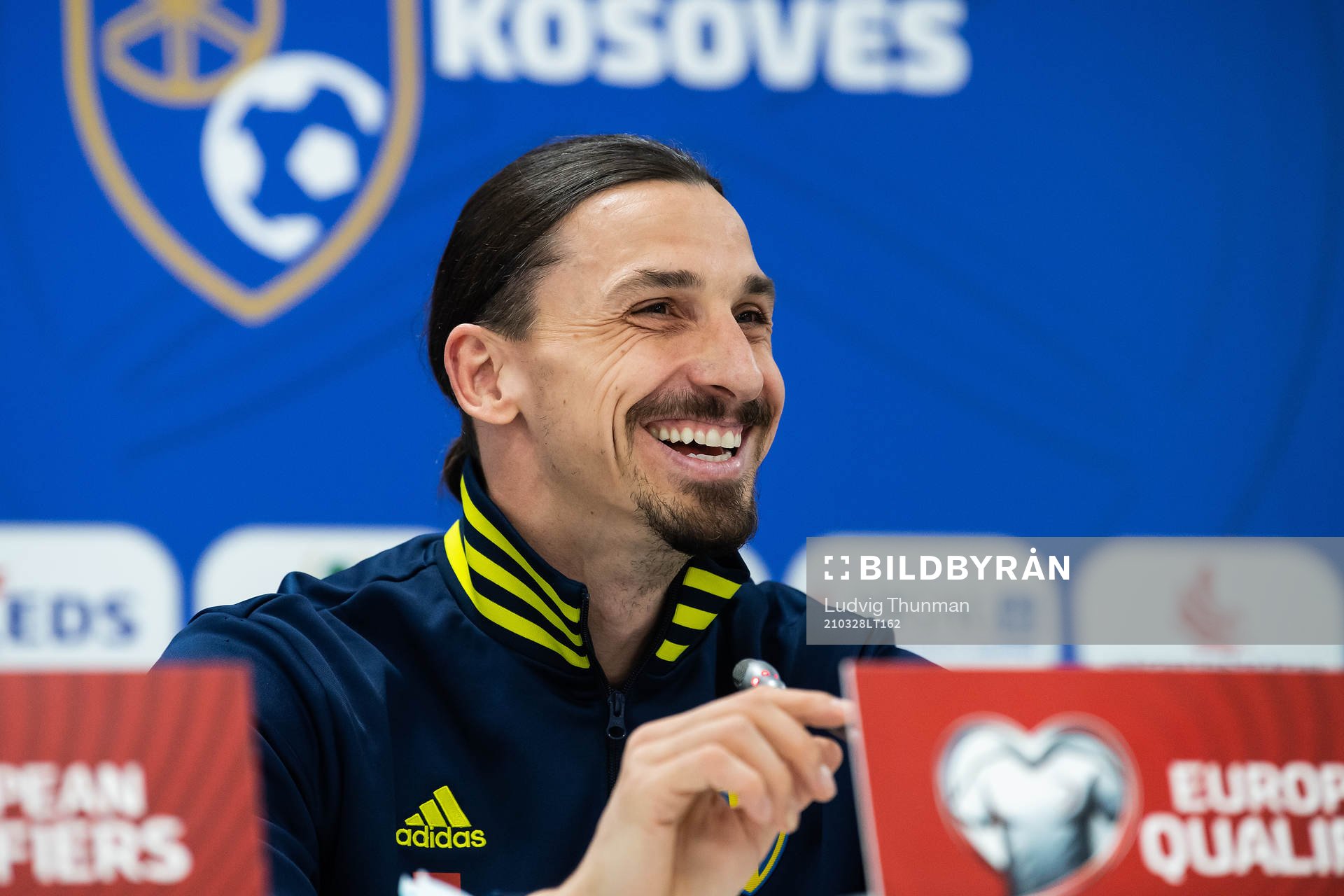 Zlatan Ibrahimovic of Sweden