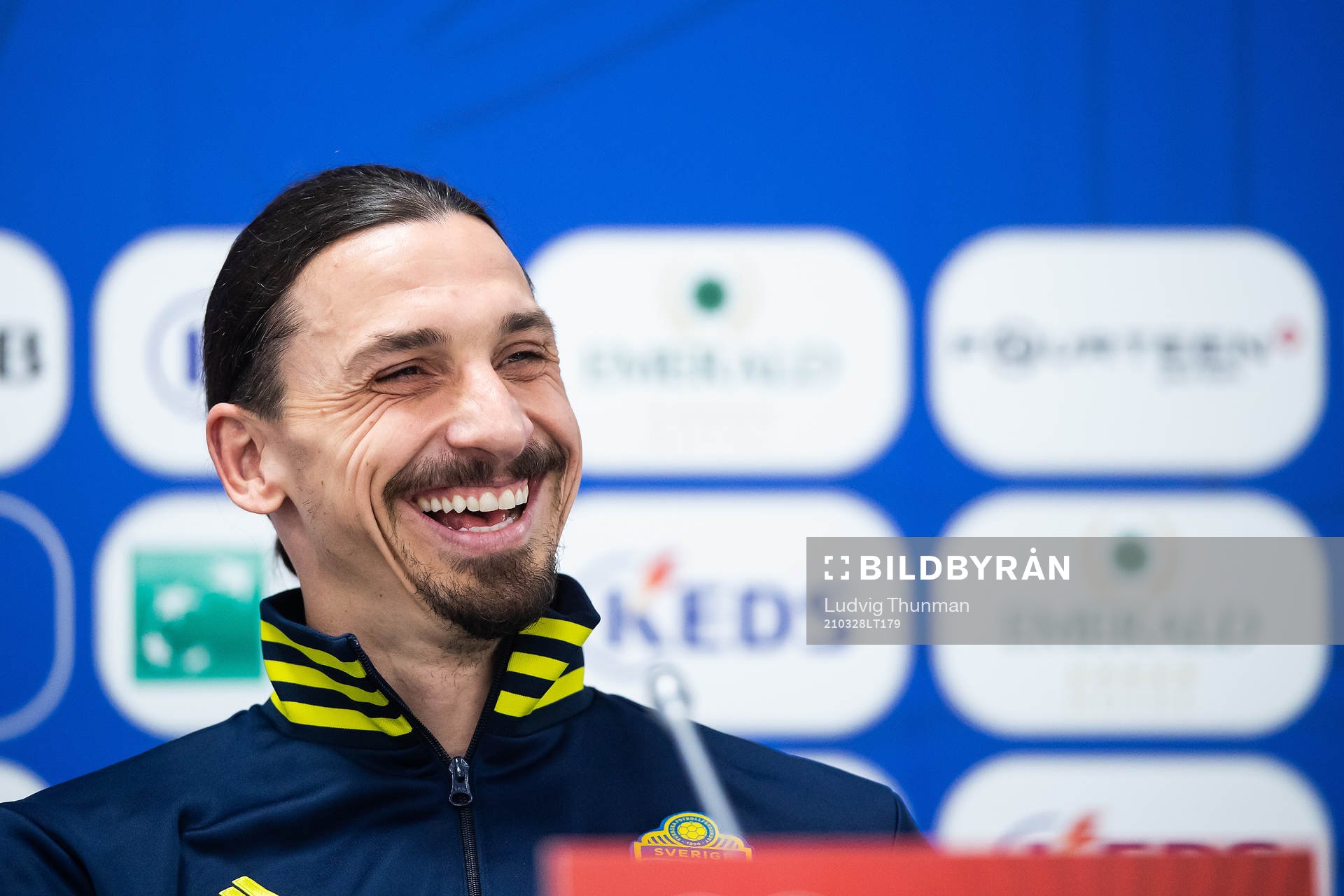 Zlatan Ibrahimovic of Sweden