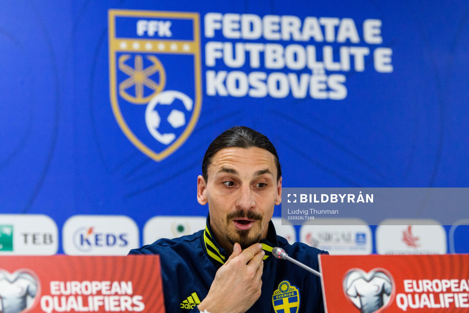 Zlatan Ibrahimovic of Sweden