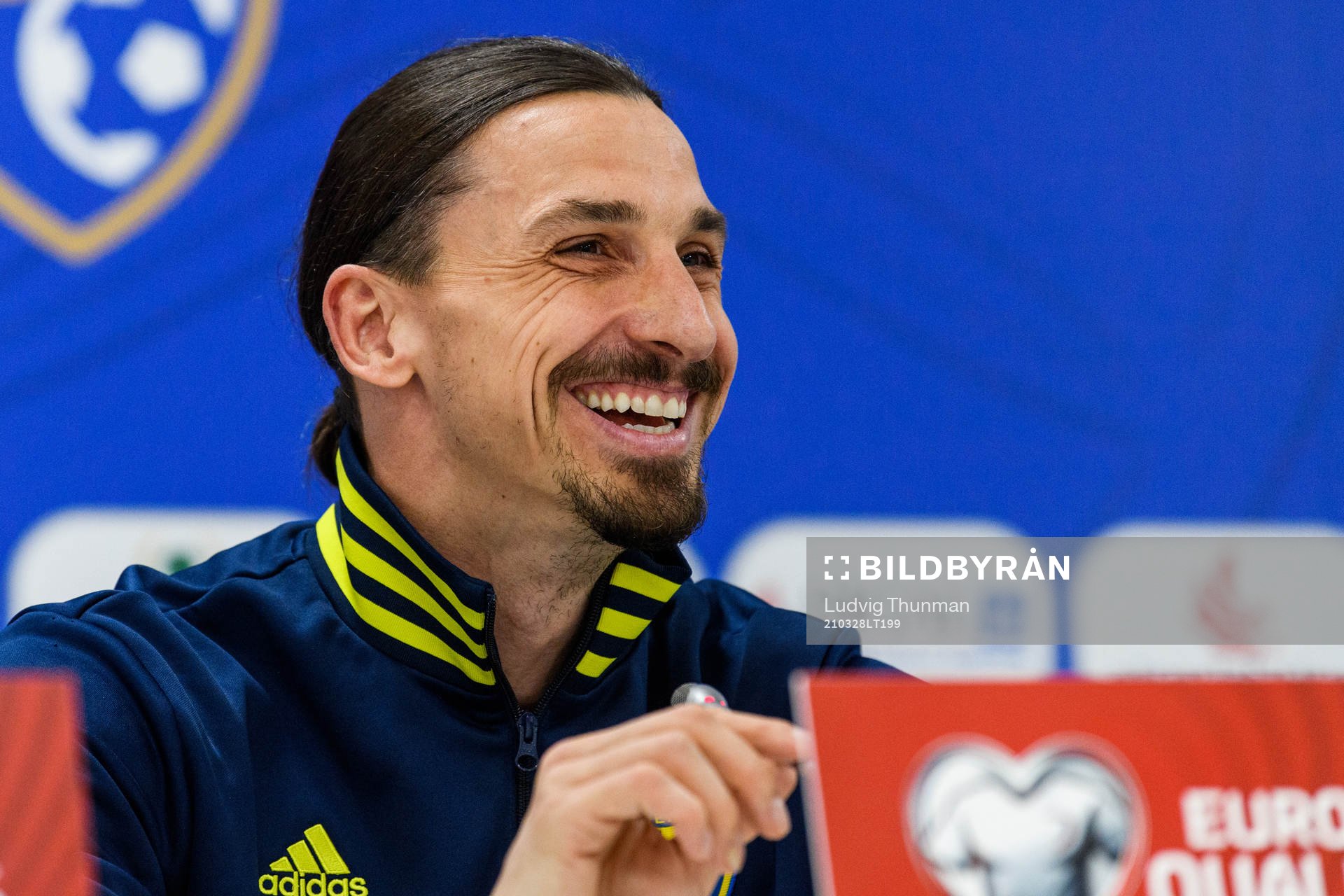 Zlatan Ibrahimovic of Sweden