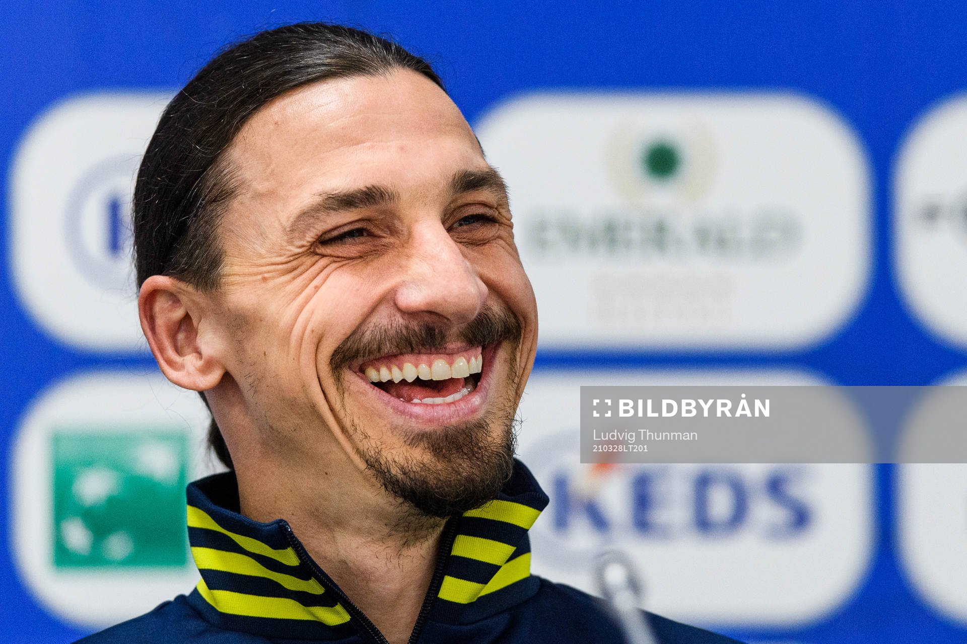 Zlatan Ibrahimovic of Sweden