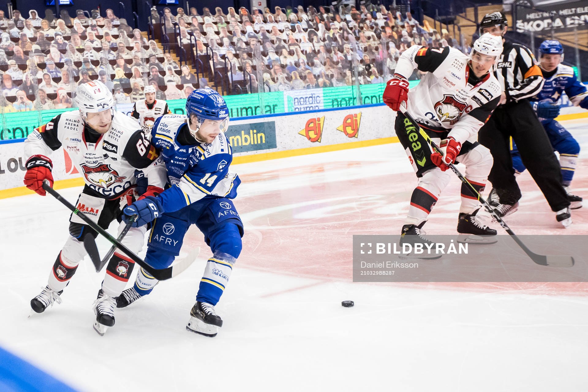 Malmö Redhawks Victor Backman och Leksands Oskar Lang
