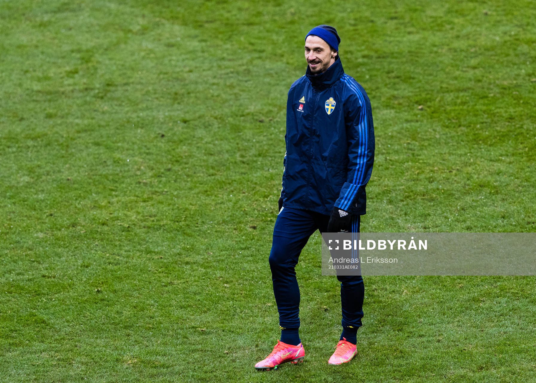 Zlatan Ibrahimovic of Sweden