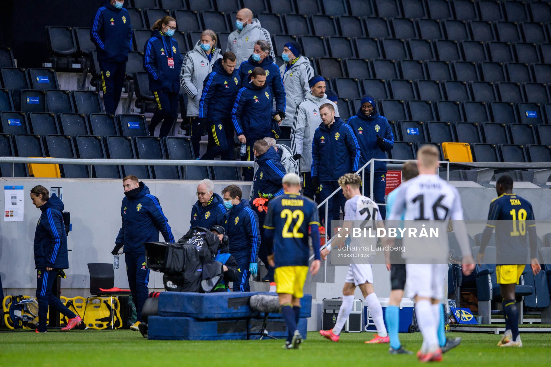 Zlatan Ibrahimovic of Sweden heading down from the stands