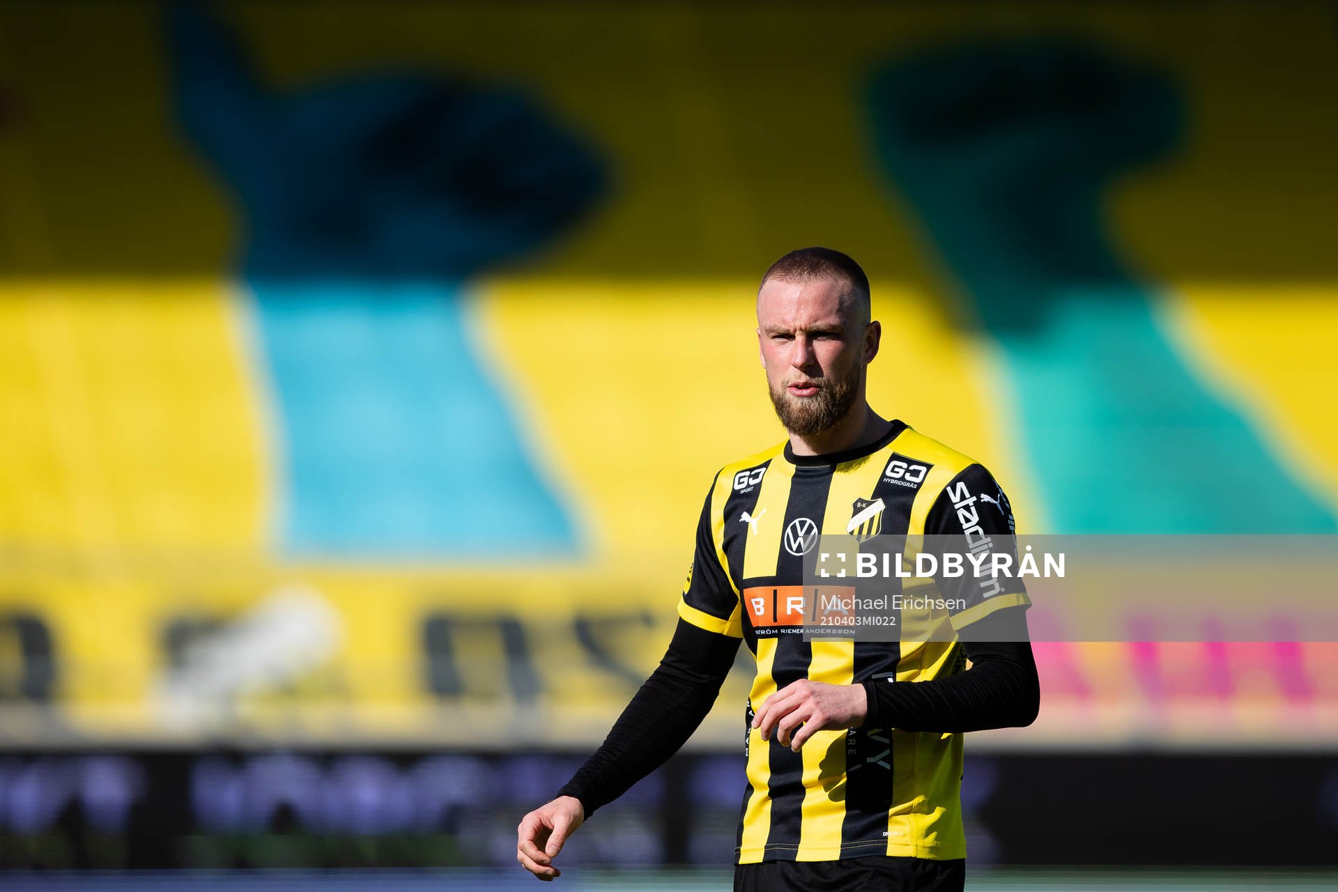 Häckens Alexander Faltsetas