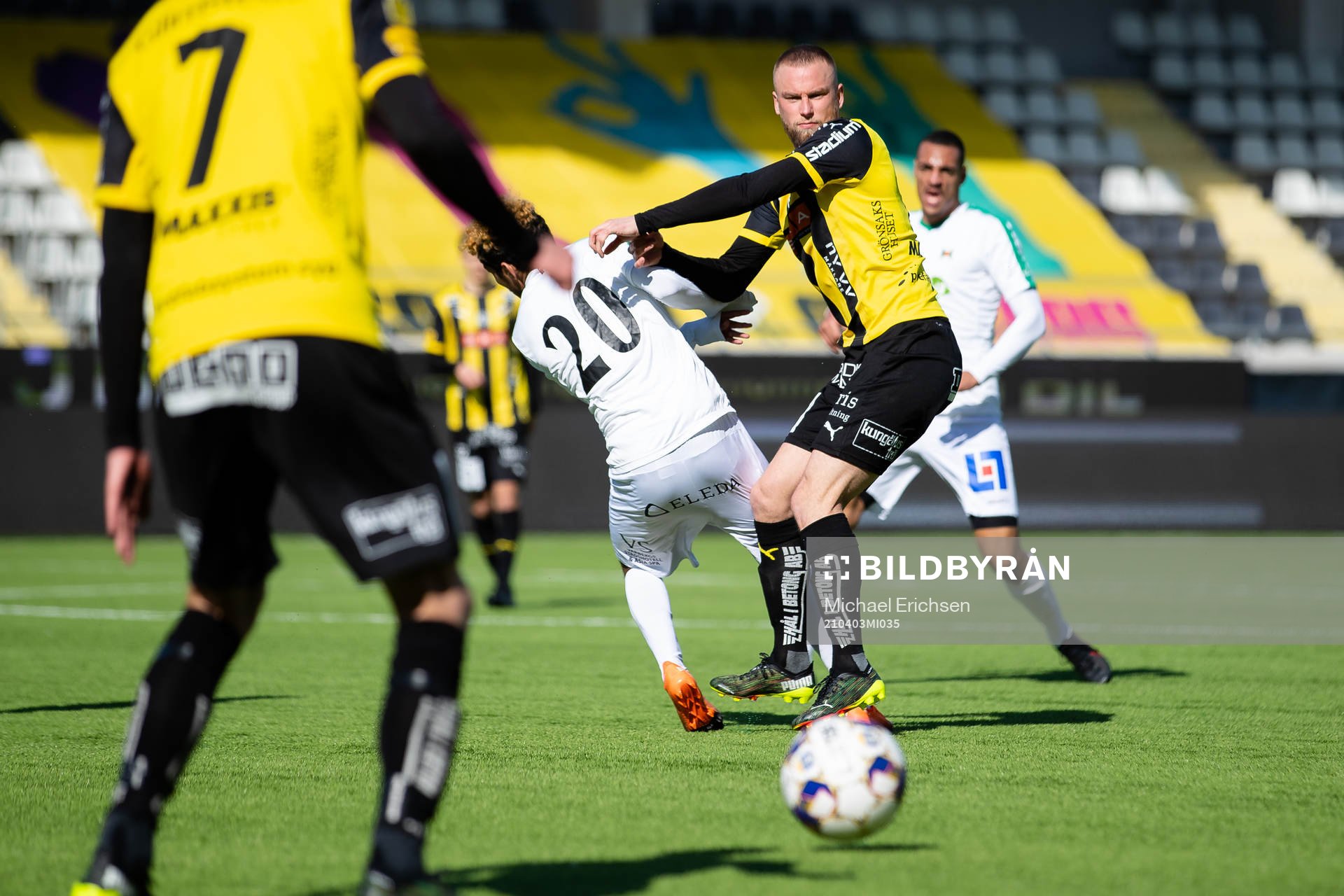 Häckens Alexander Faltsetas