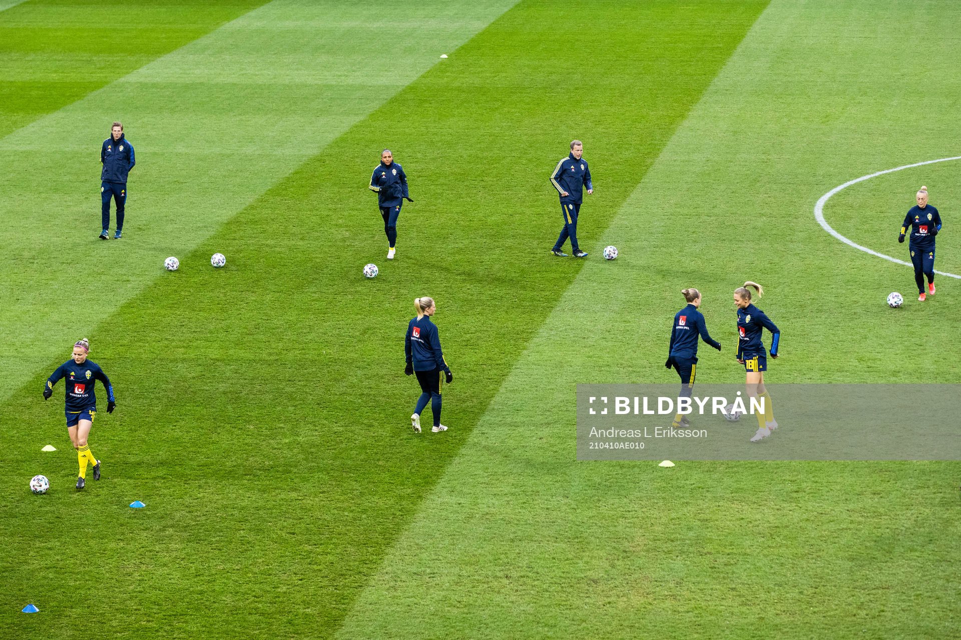 Players of Sweden