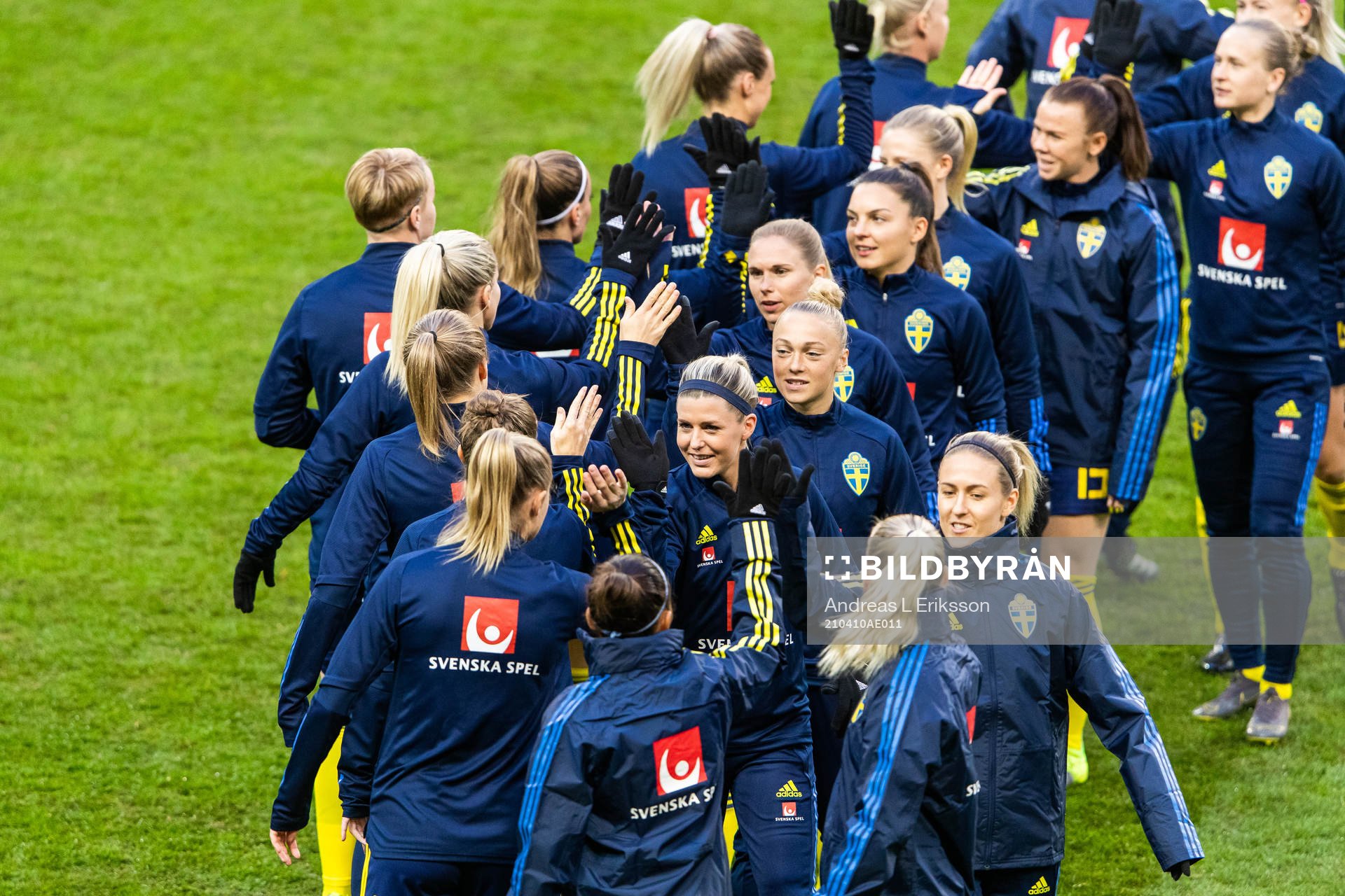 Players of Sweden
