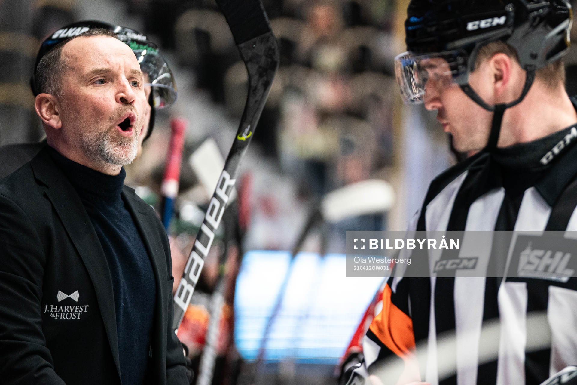 Luleås tränare Thomas Berglund