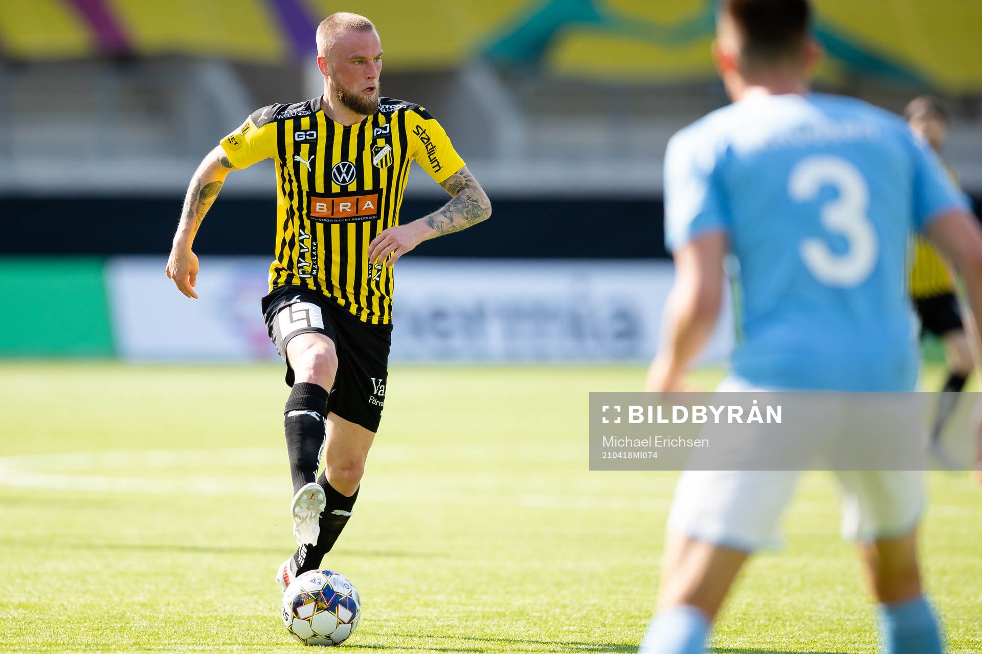 Häckens Alexander Faltsetas
