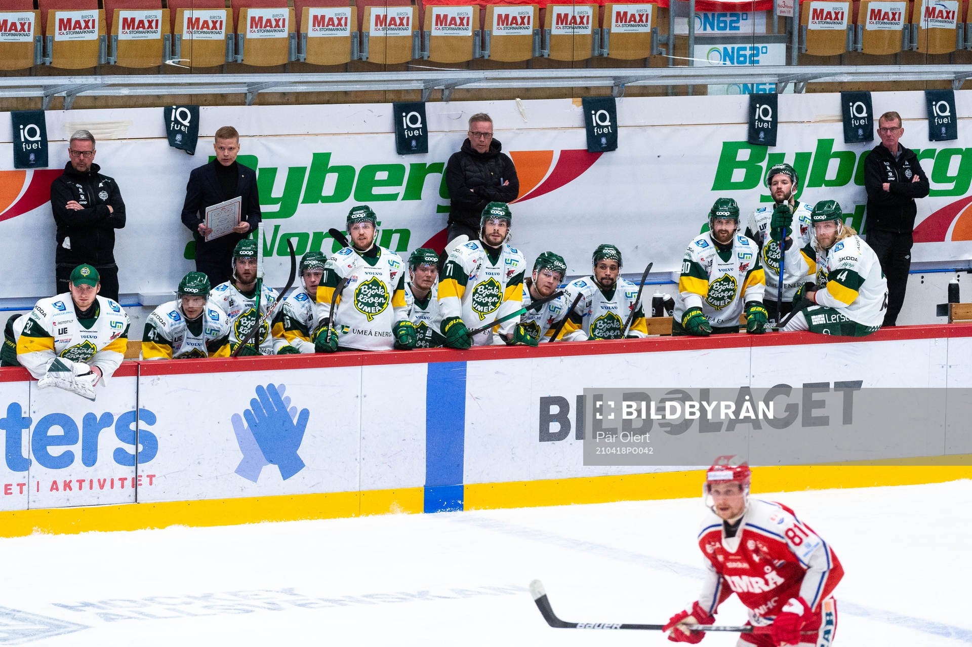 Björklövens spelarbås