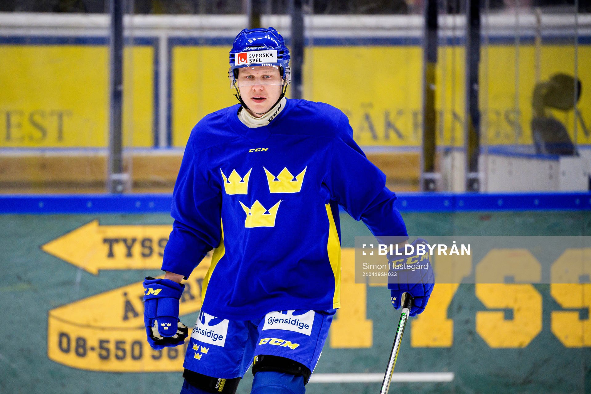 Daniel Viksten