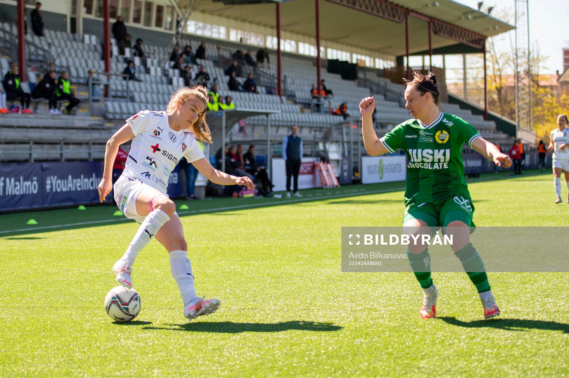 Rosengårds Fiona Brown