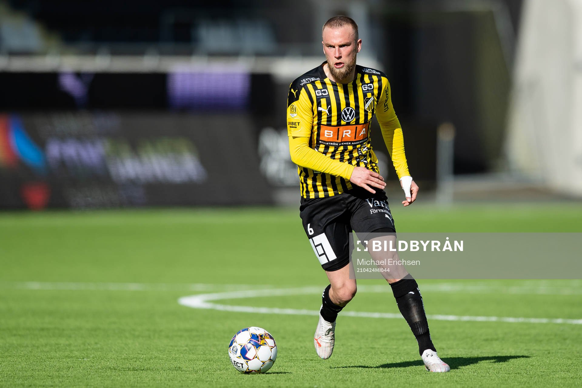 Häckens Alexander Faltsetas