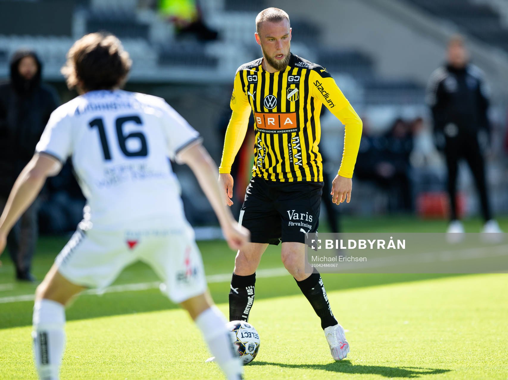 Häckens Alexander Faltsetas