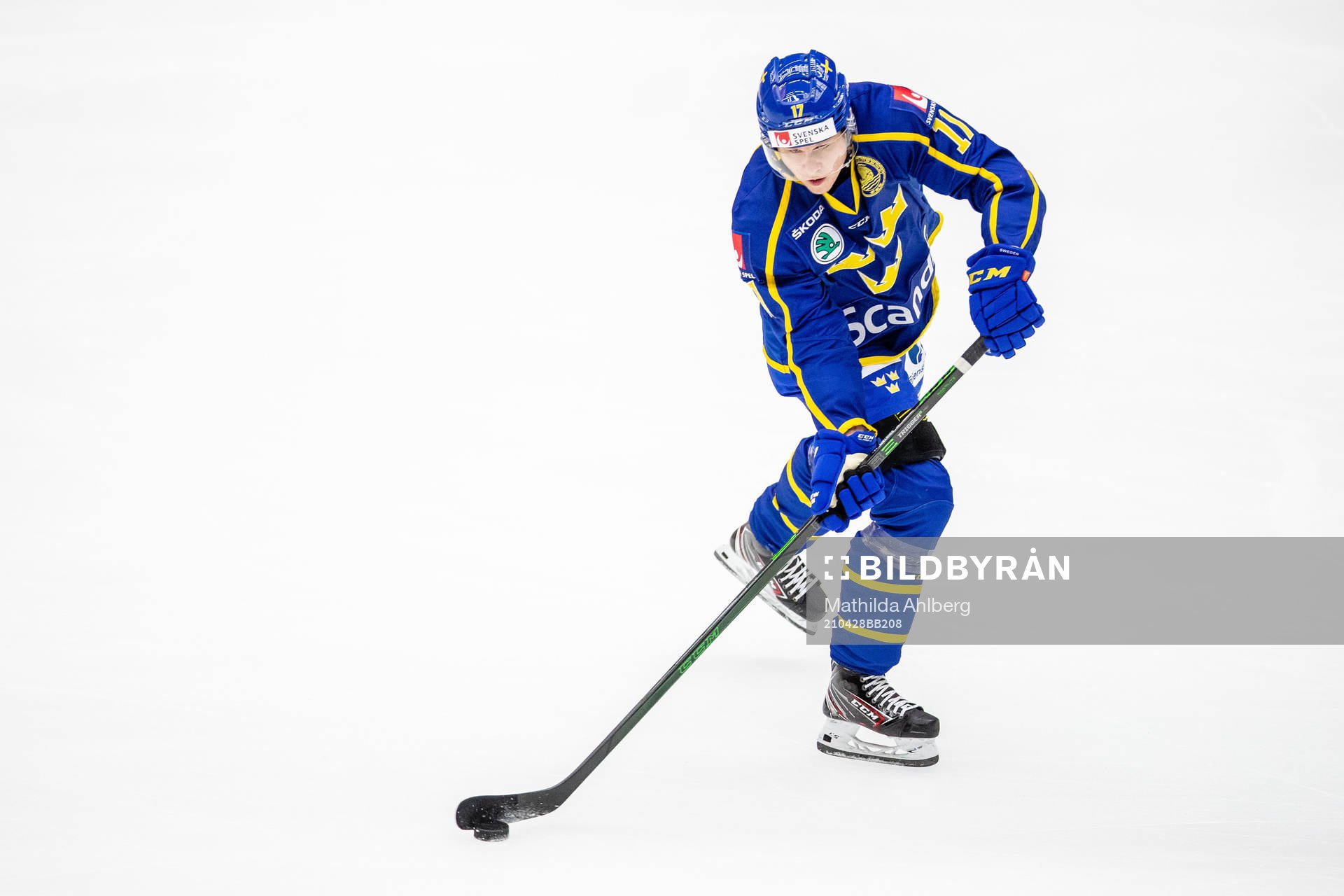 Sveriges Daniel Viksten