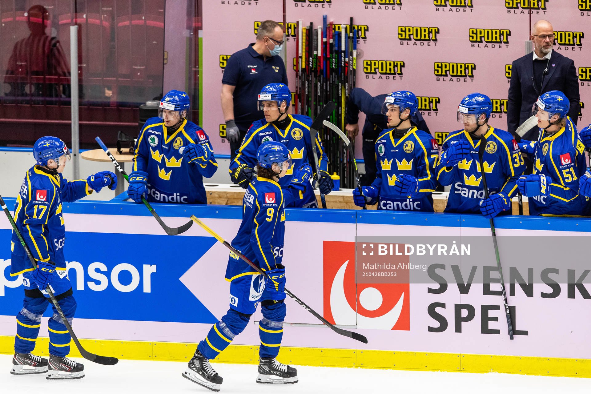 Sveriges Daniel Viksten och Alberg Johansson jublar