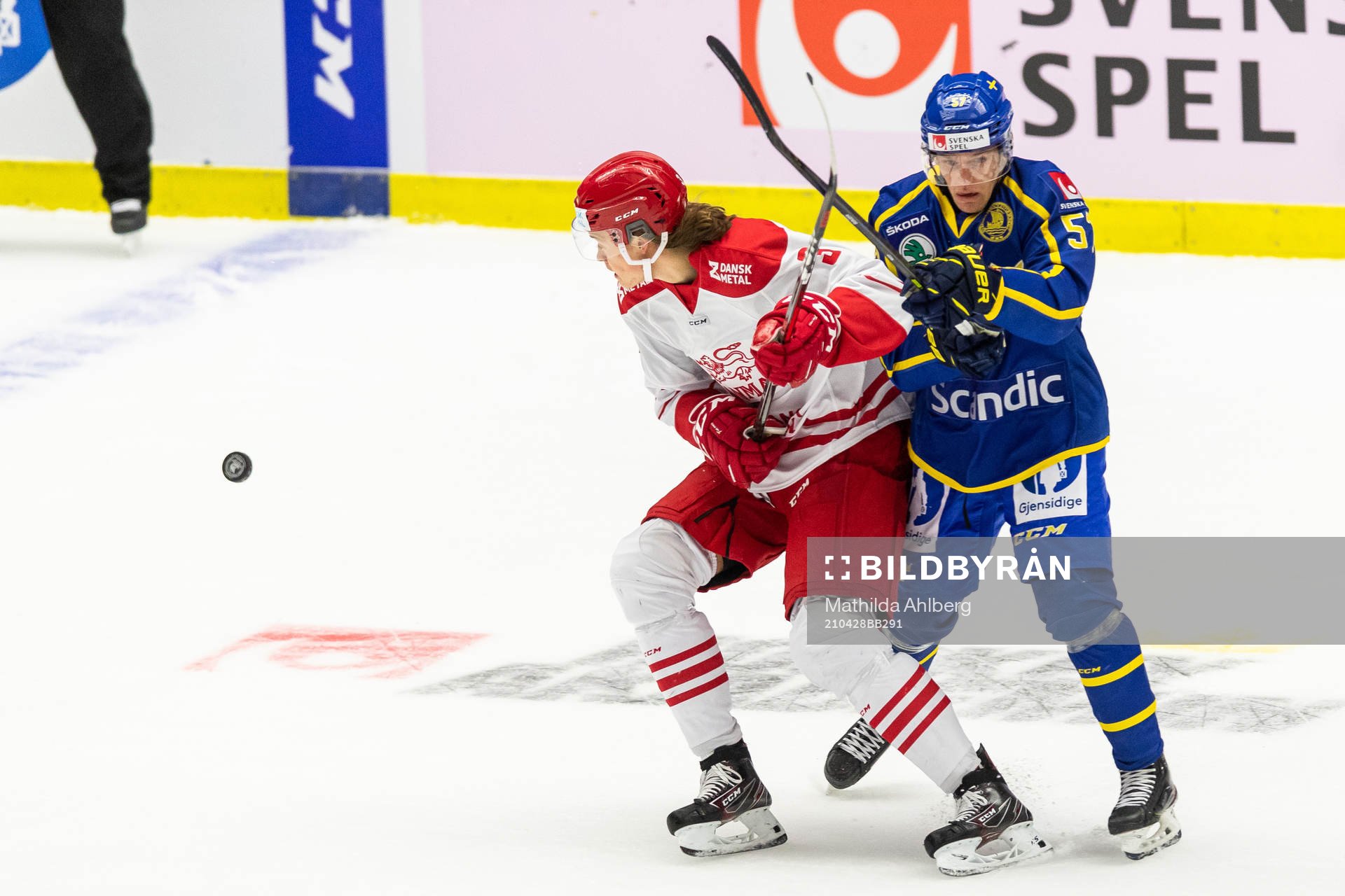 Danmarks Malte Setkov och Sveriges Anton Wedin