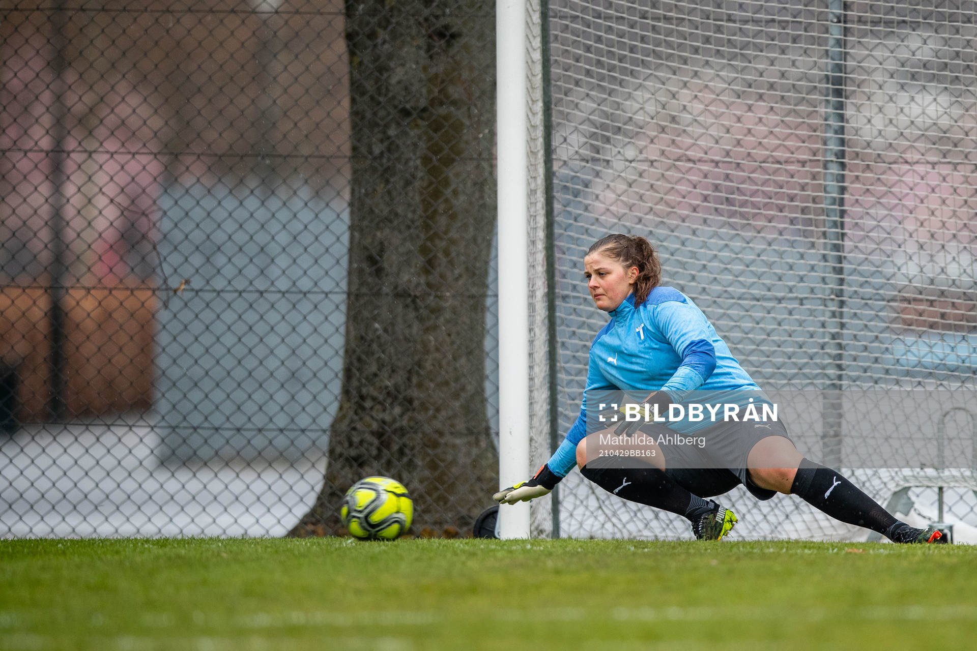 Vera Ejlertsson