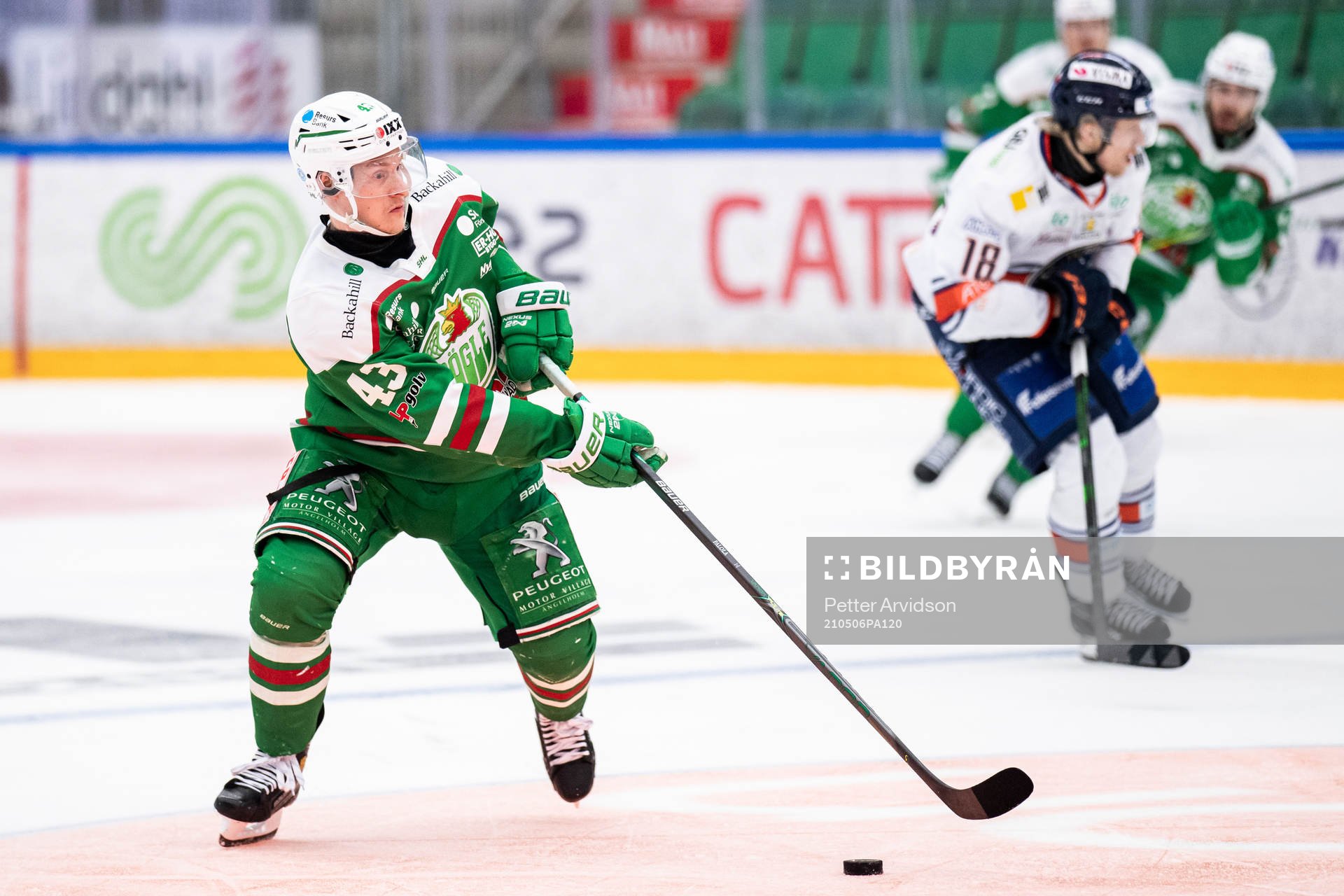 Rögles Olli Palola
