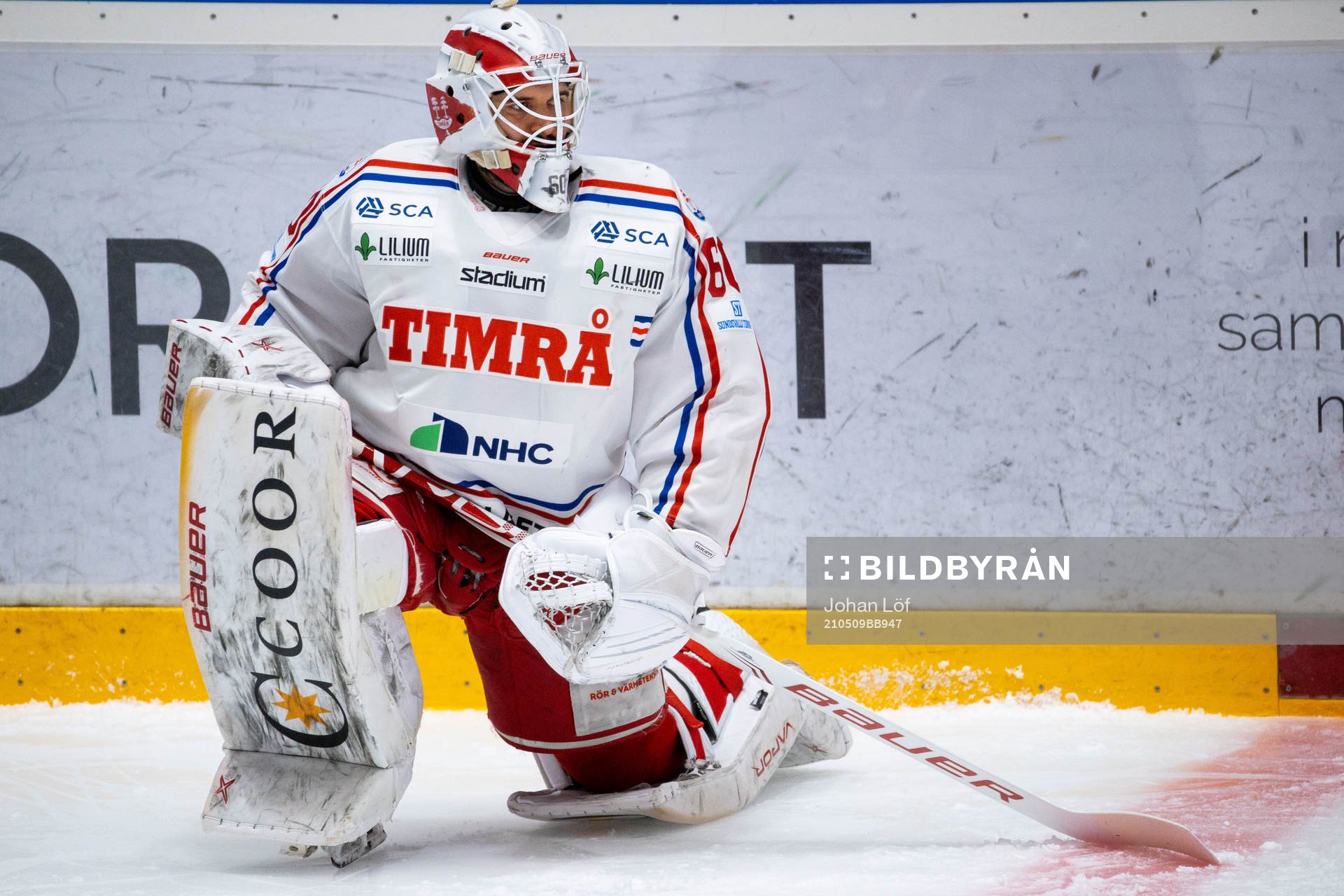 Timrås målvakt Adam Ohre