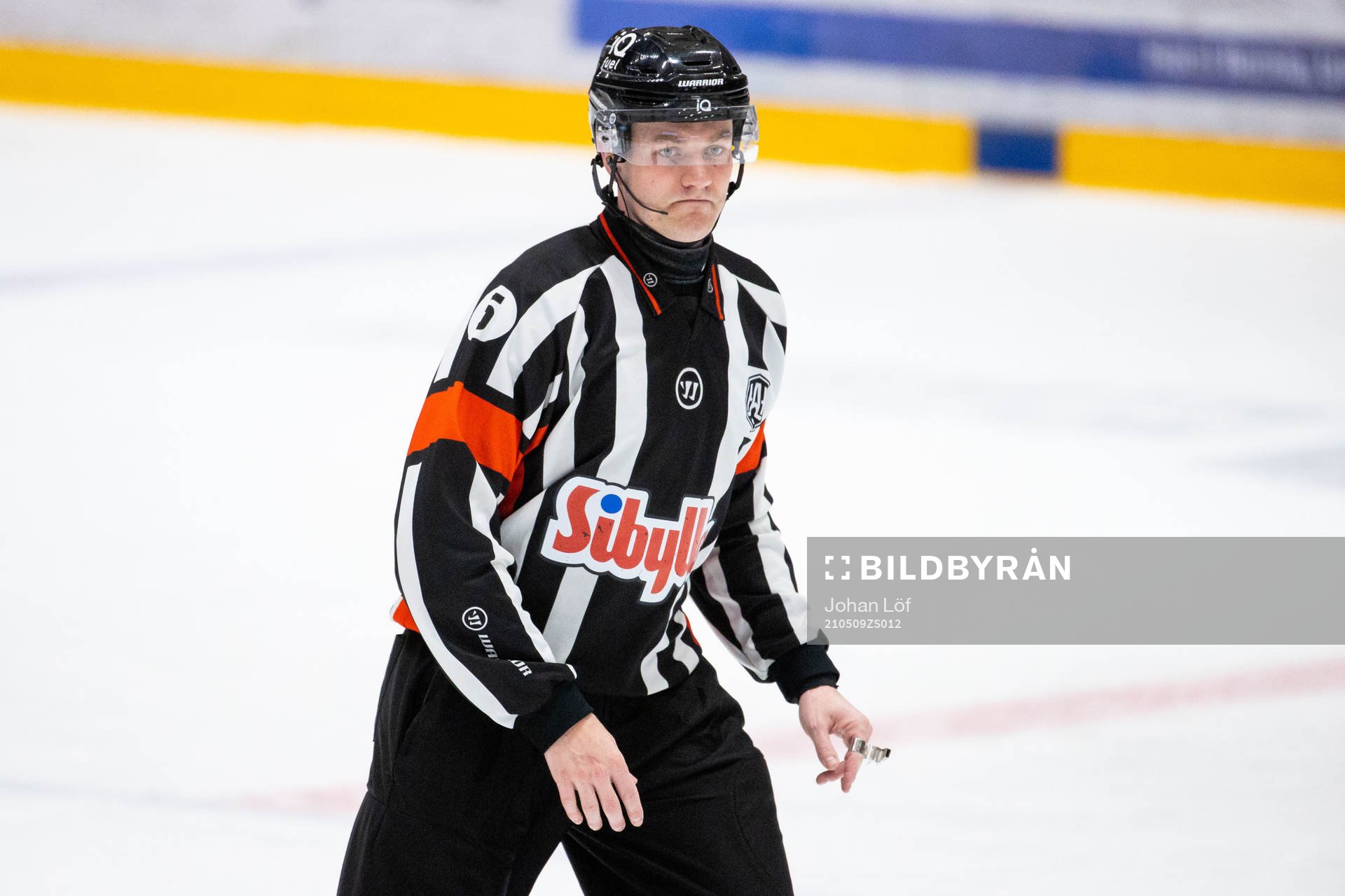 Domare Daniel Eriksson