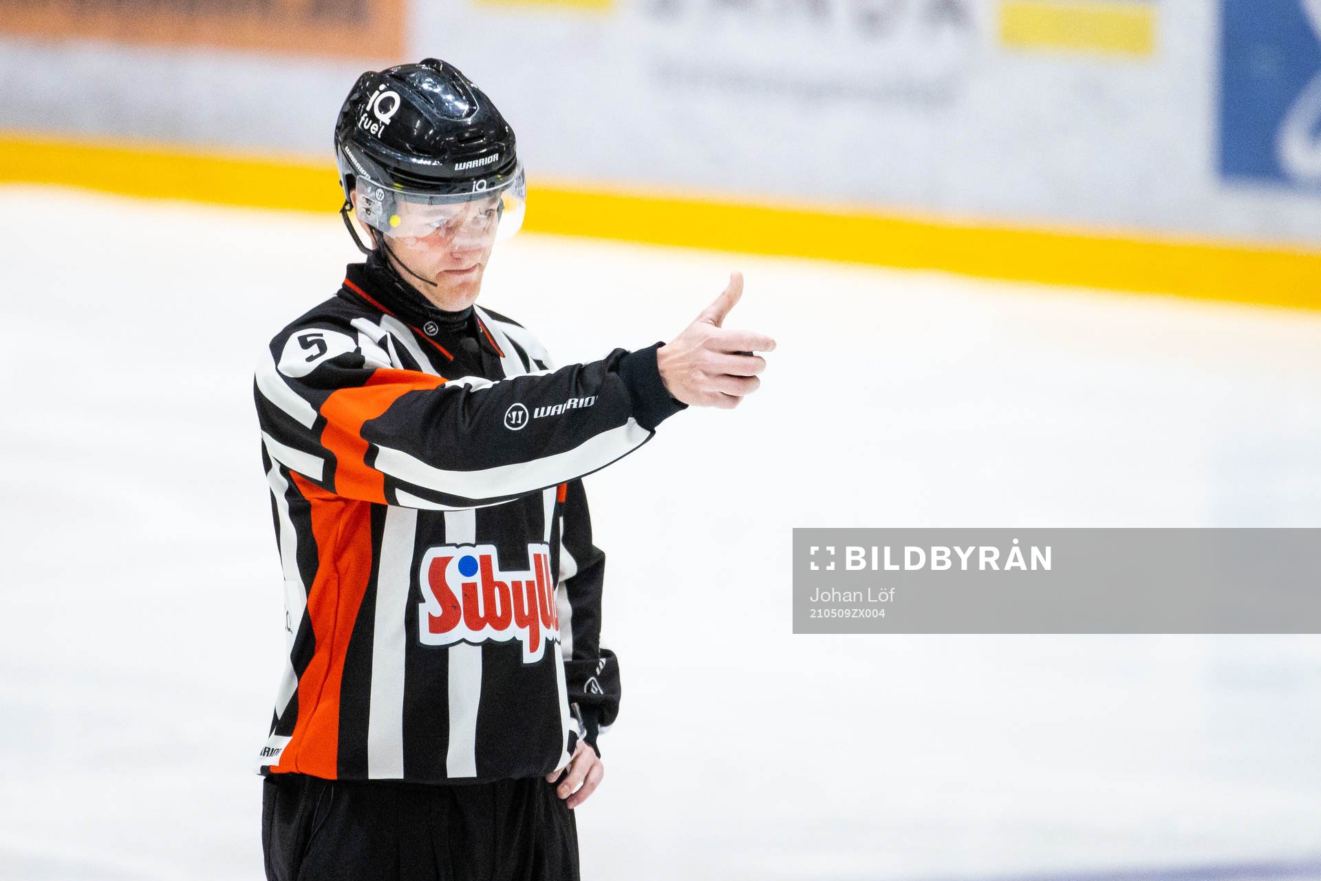 Domare Daniel Eriksson