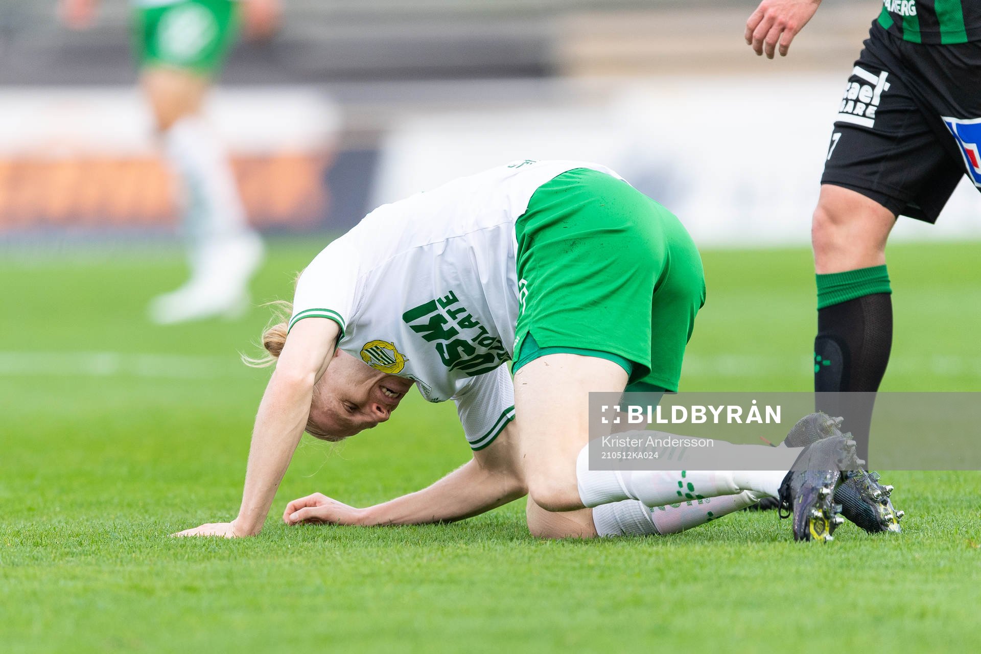 Hammarbys Gustav Ludwigson