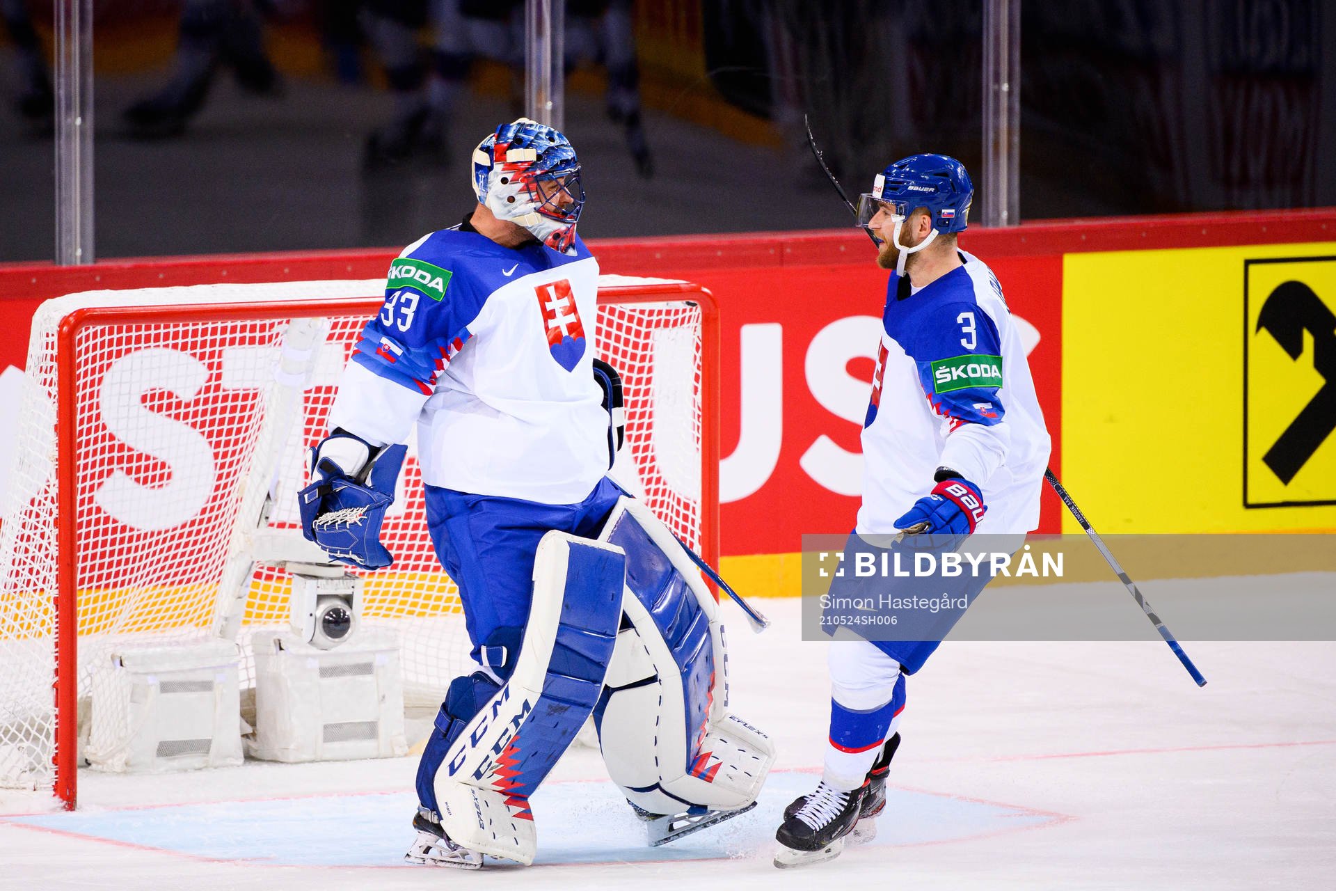 Goalkeeper Julius Hudacek and Adam Janosik of Slovakia