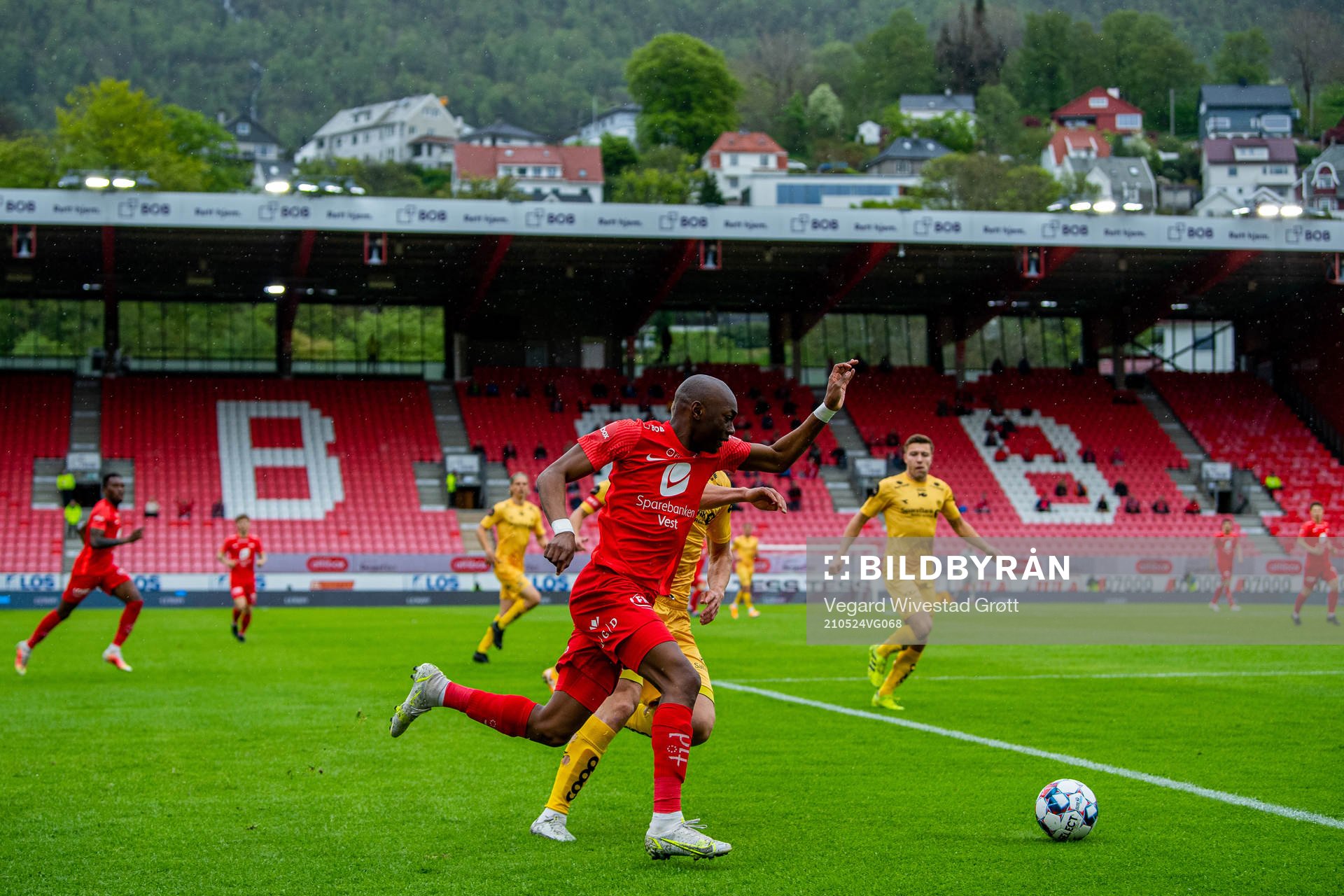 Moonga Aluta Simba of Brann