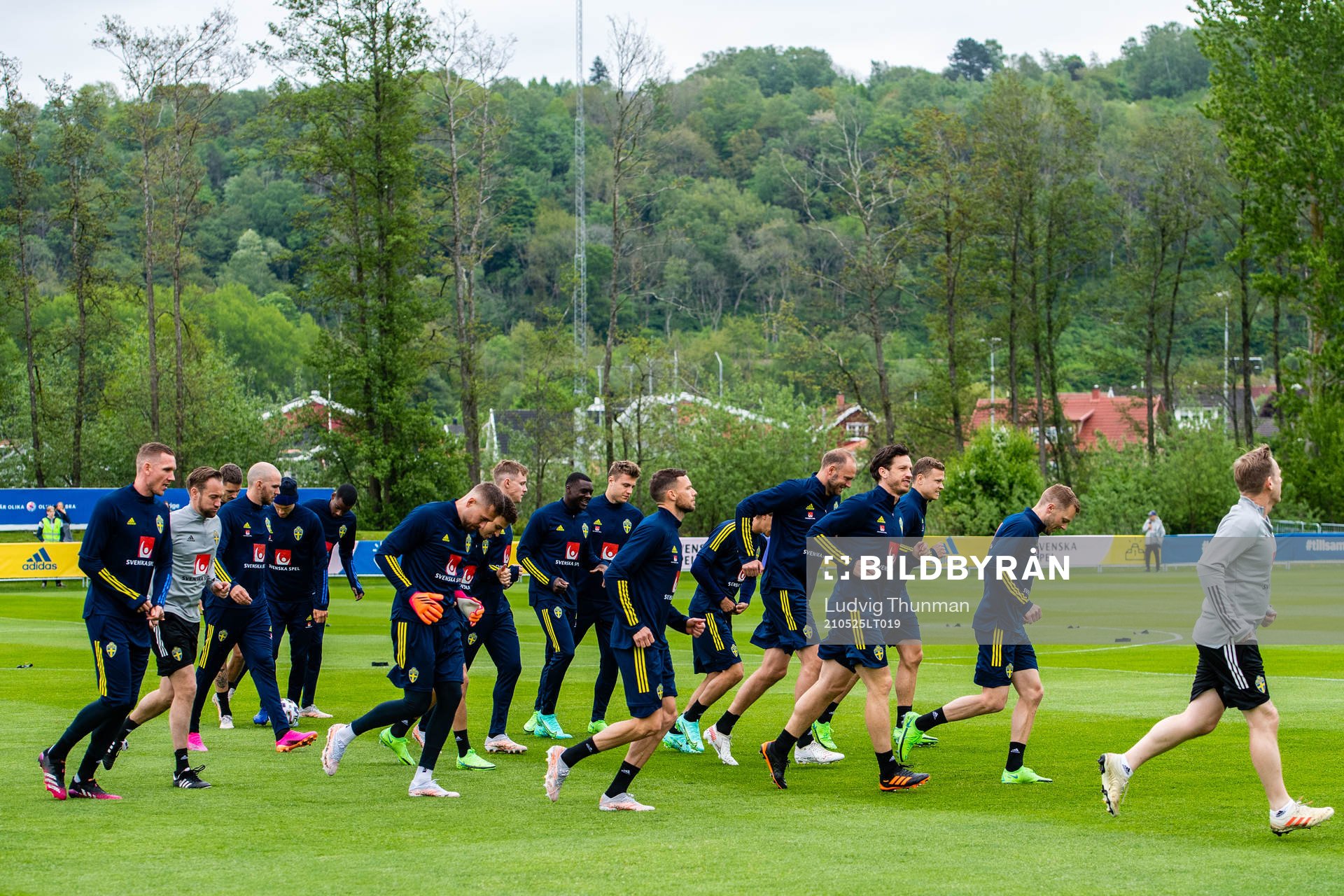 Players of Sweden